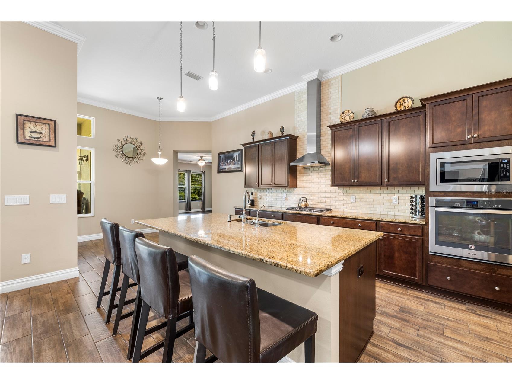 16726 Courtyard Loop Land O Lakes FL 34638 TB8503094 image13