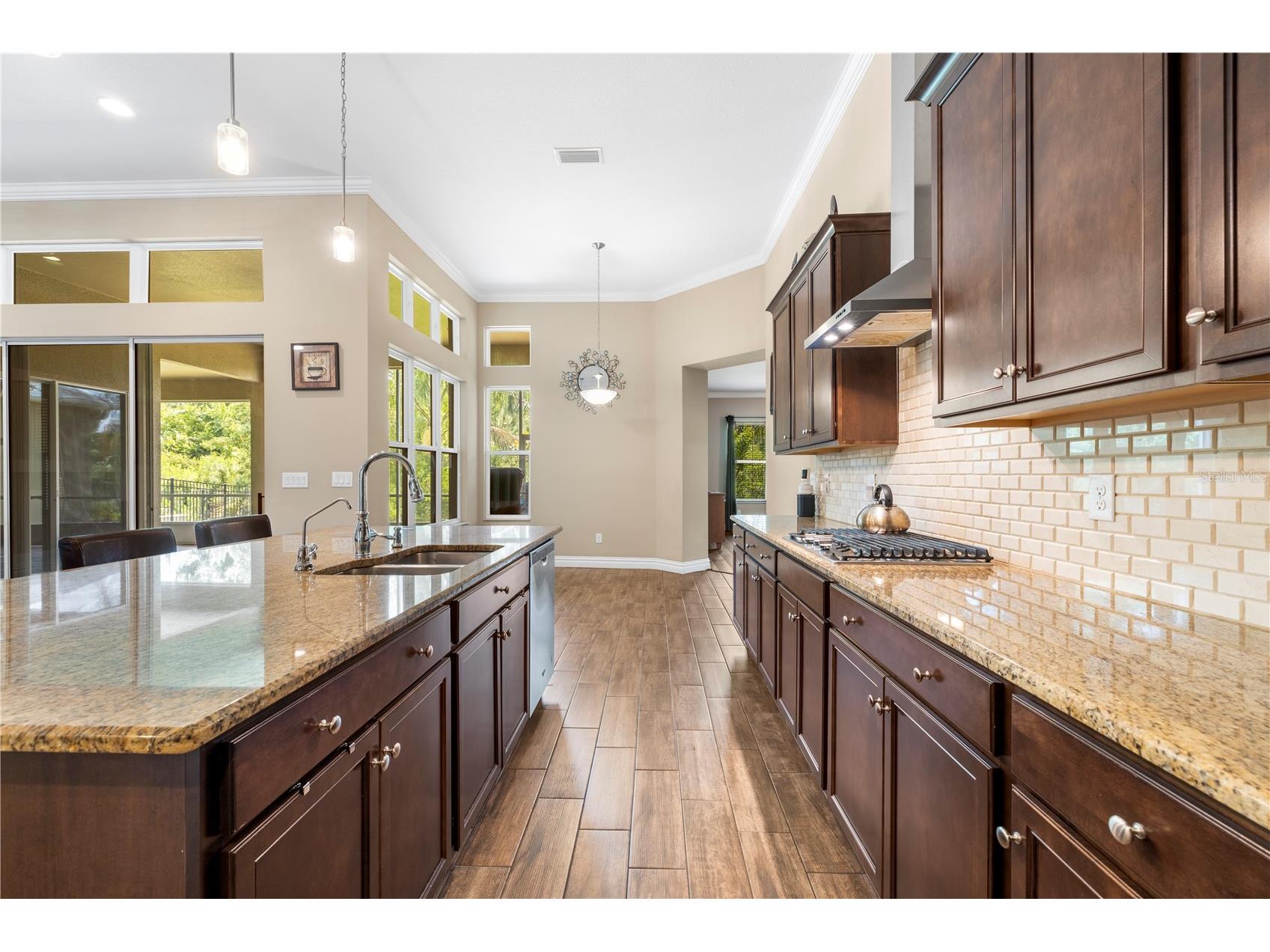 16726 Courtyard Loop Land O Lakes FL 34638 TB8503094 image15