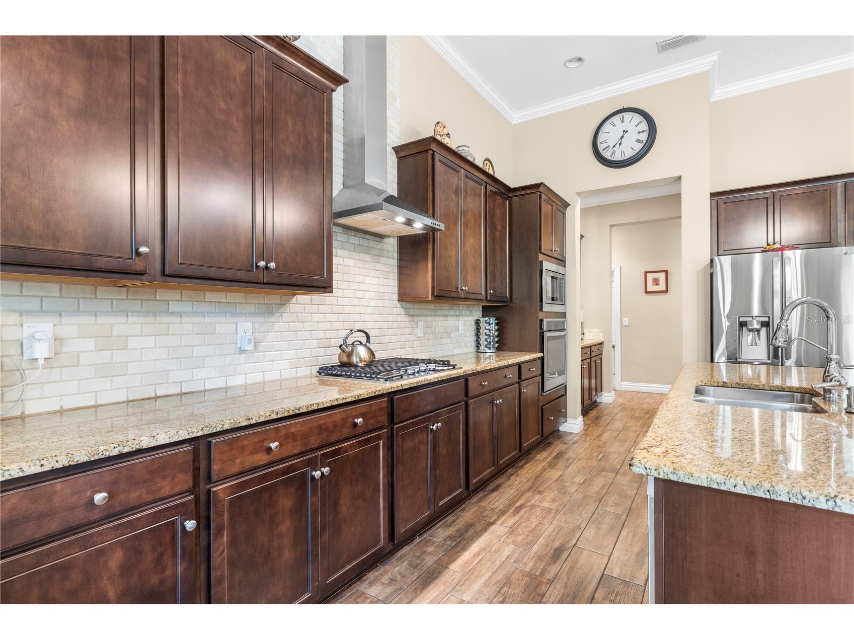 16726 Courtyard Loop Land O Lakes FL 34638 TB8503094 image18