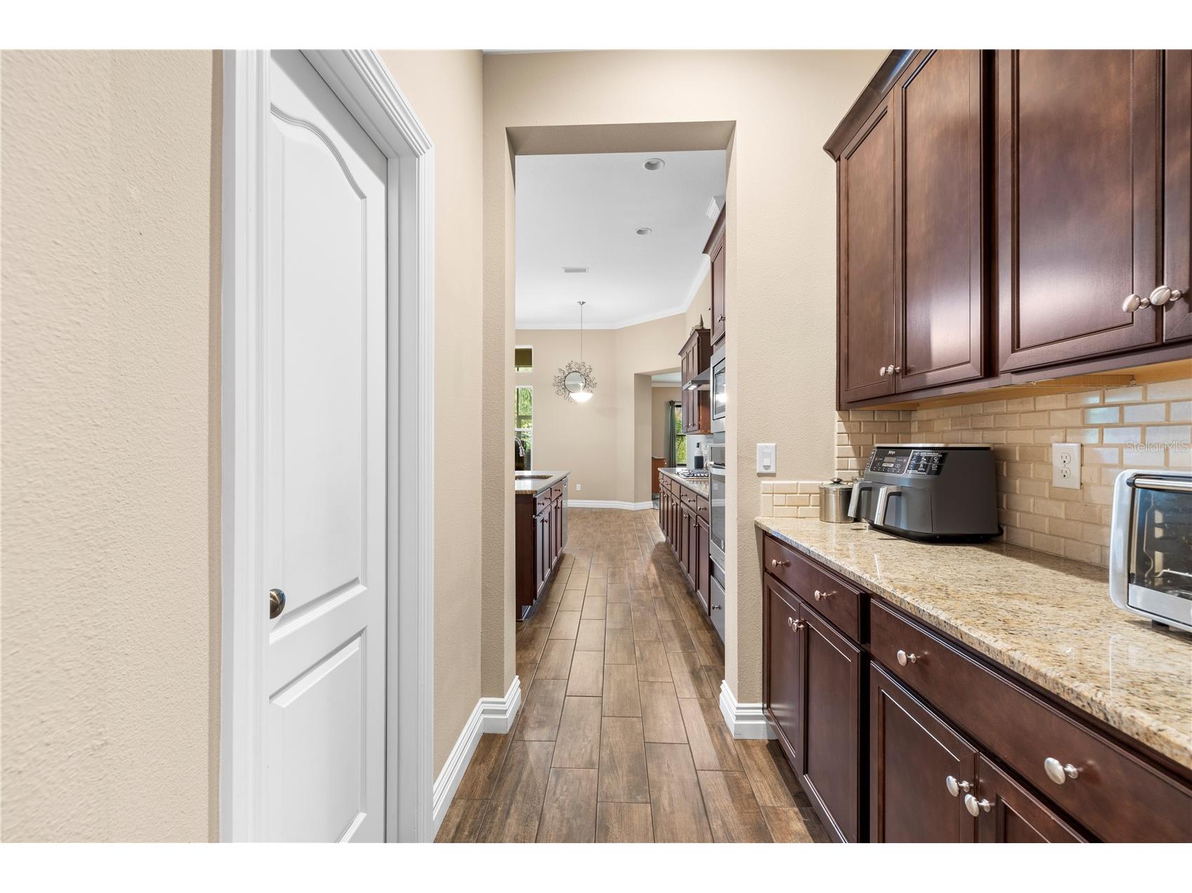 16726 Courtyard Loop Land O Lakes FL 34638 TB8503094 image20