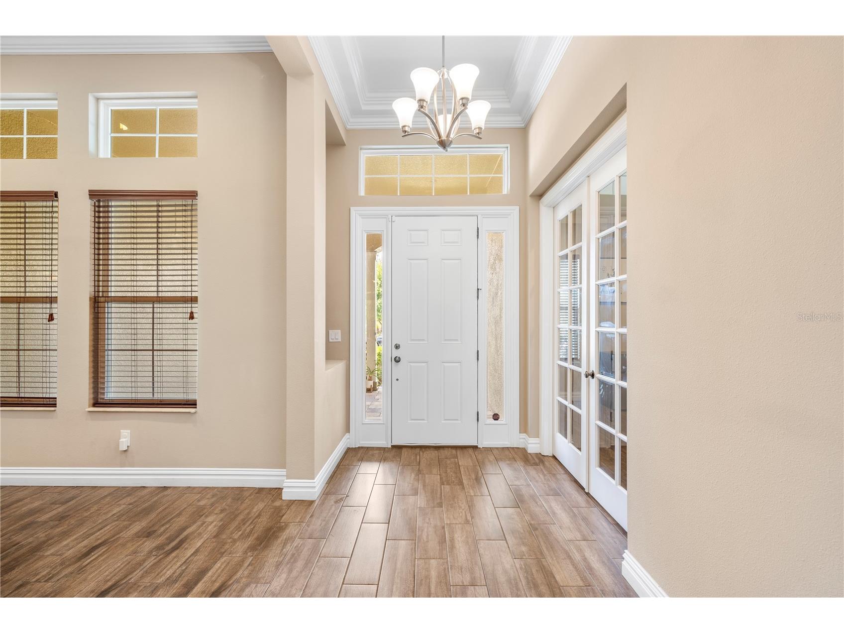 16726 Courtyard Loop Land O Lakes FL 34638 TB8503094 image3