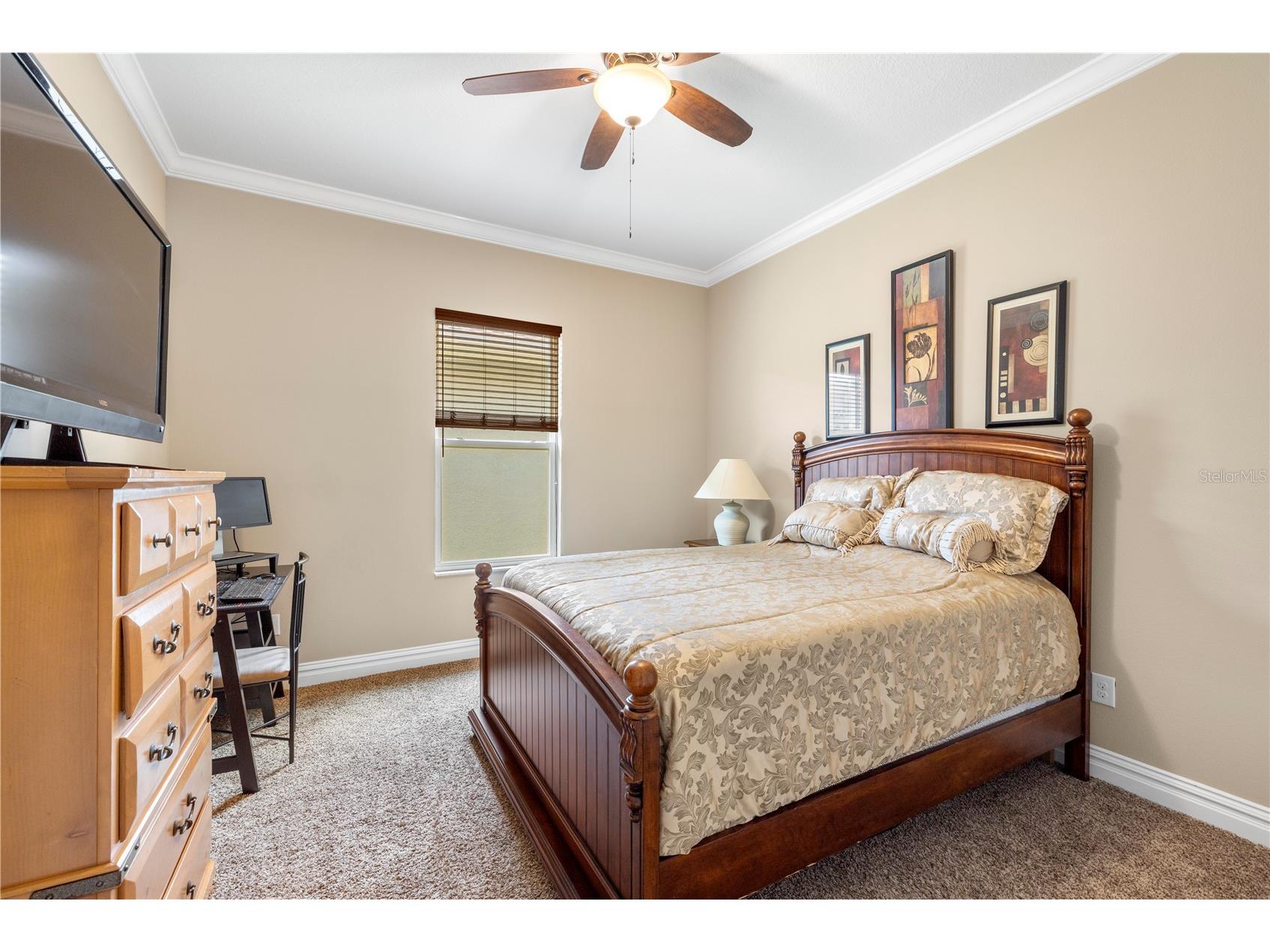 16726 Courtyard Loop Land O Lakes FL 34638 TB8503094 image32