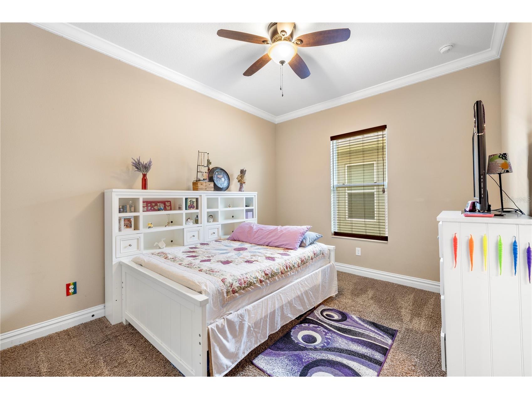 16726 Courtyard Loop Land O Lakes FL 34638 TB8503094 image33