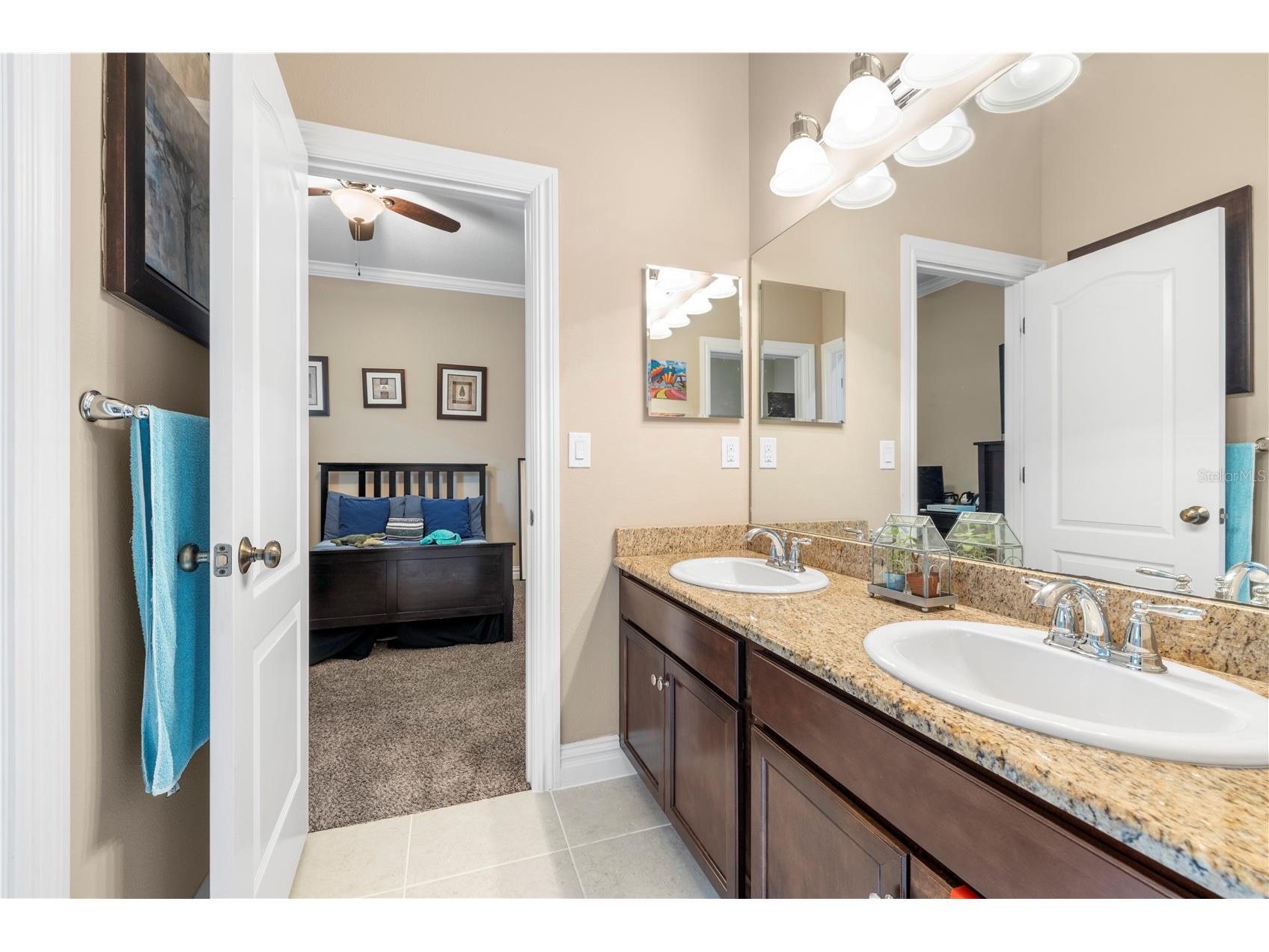 16726 Courtyard Loop Land O Lakes FL 34638 TB8503094 image35