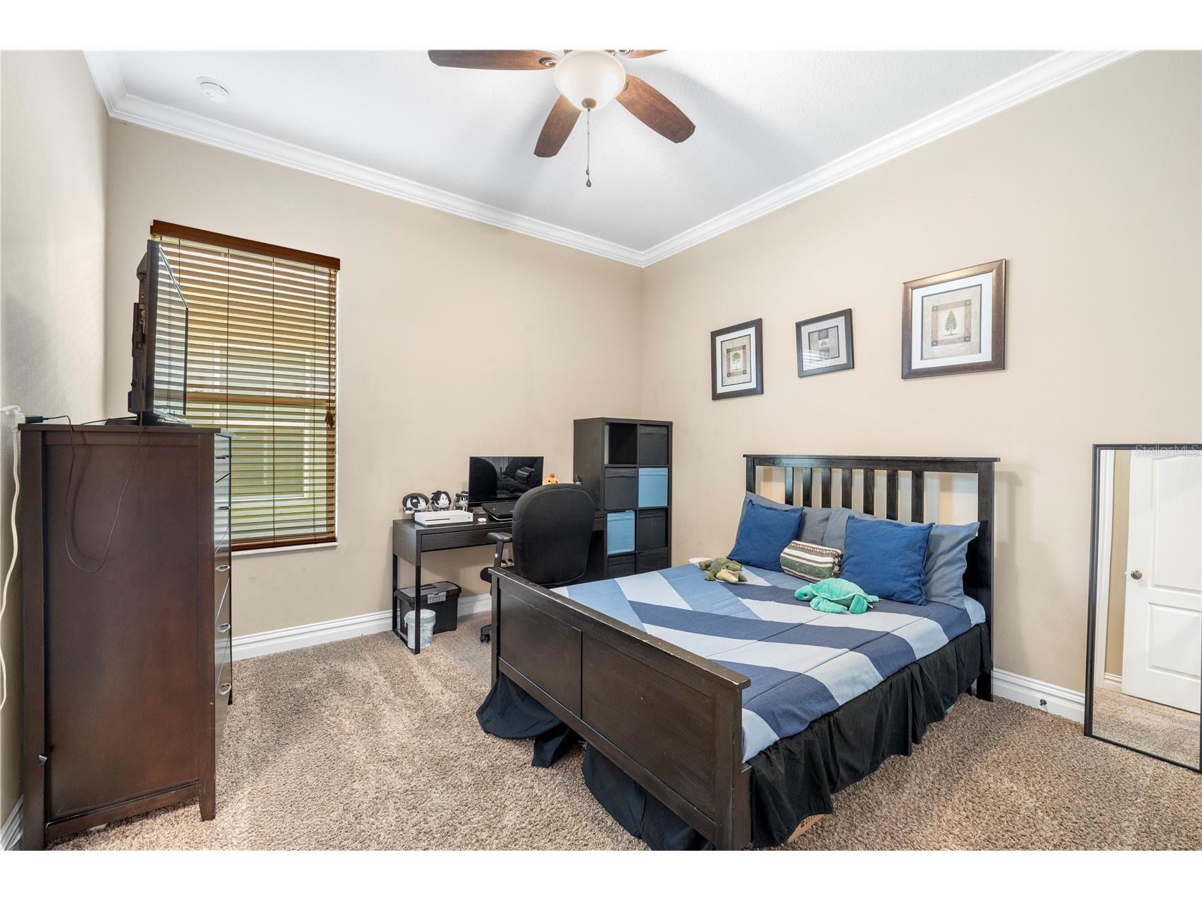 16726 Courtyard Loop Land O Lakes FL 34638 TB8503094 image38