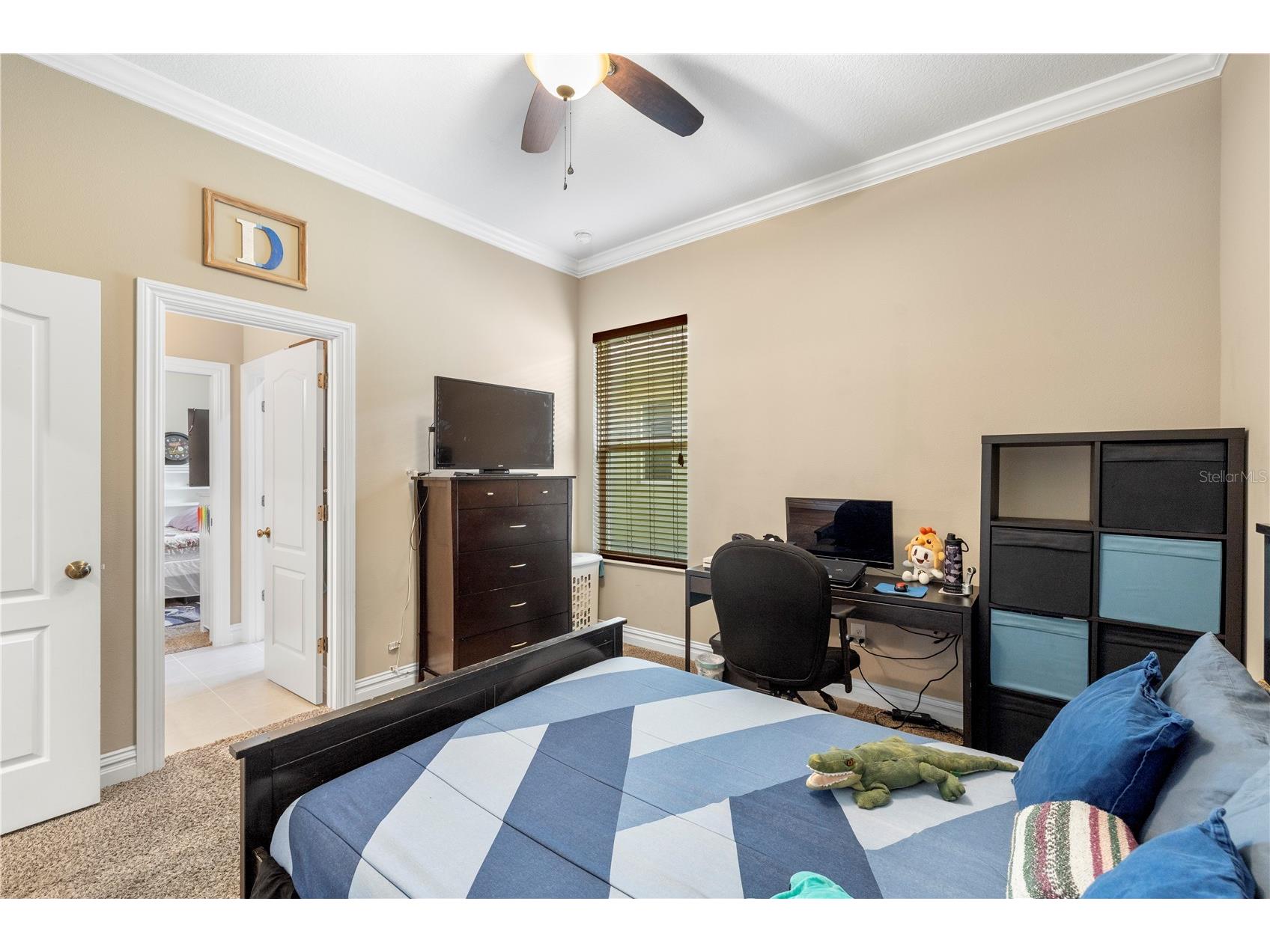 16726 Courtyard Loop Land O Lakes FL 34638 TB8503094 image40