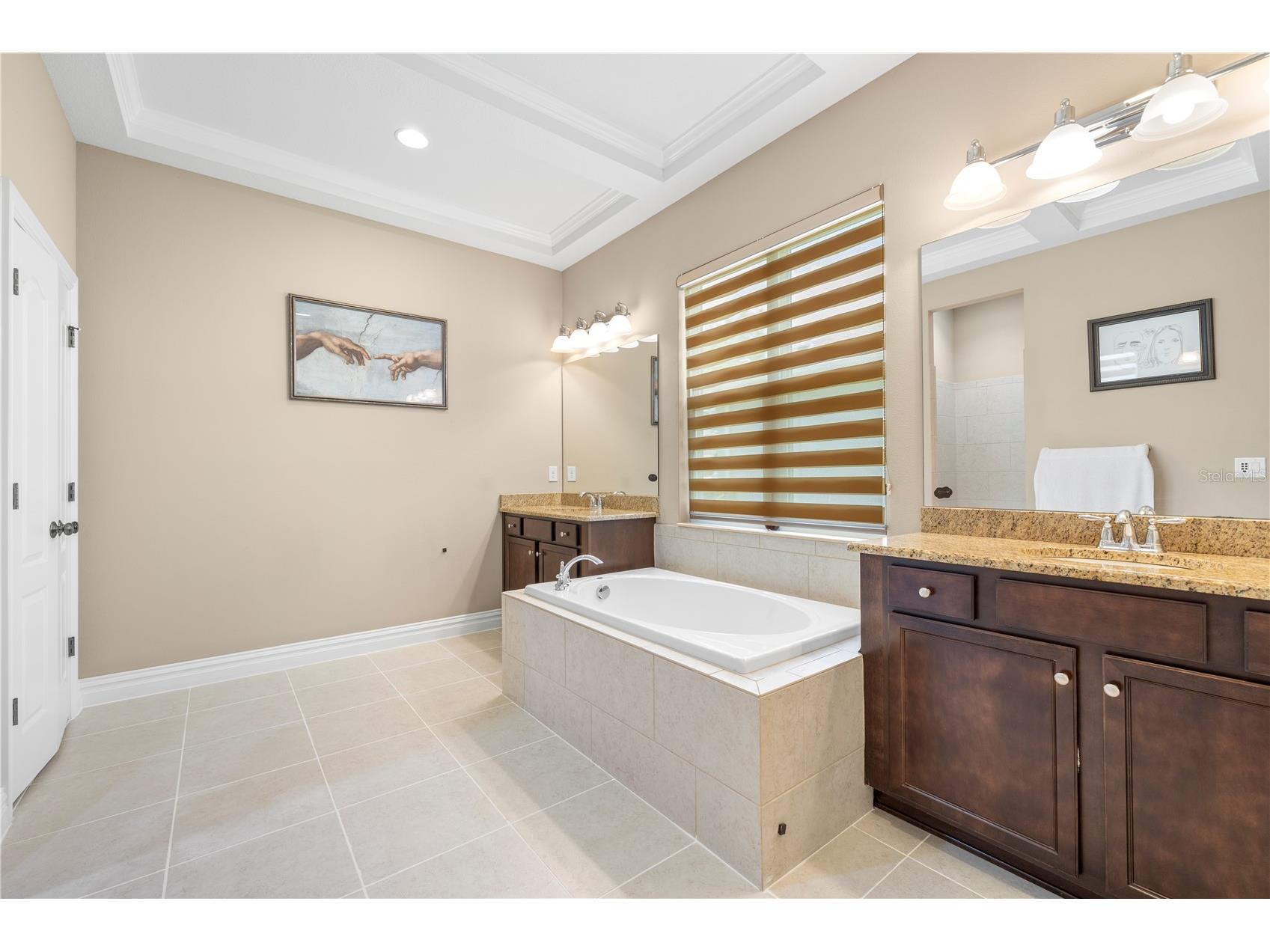16726 Courtyard Loop Land O Lakes FL 34638 TB8503094 image42