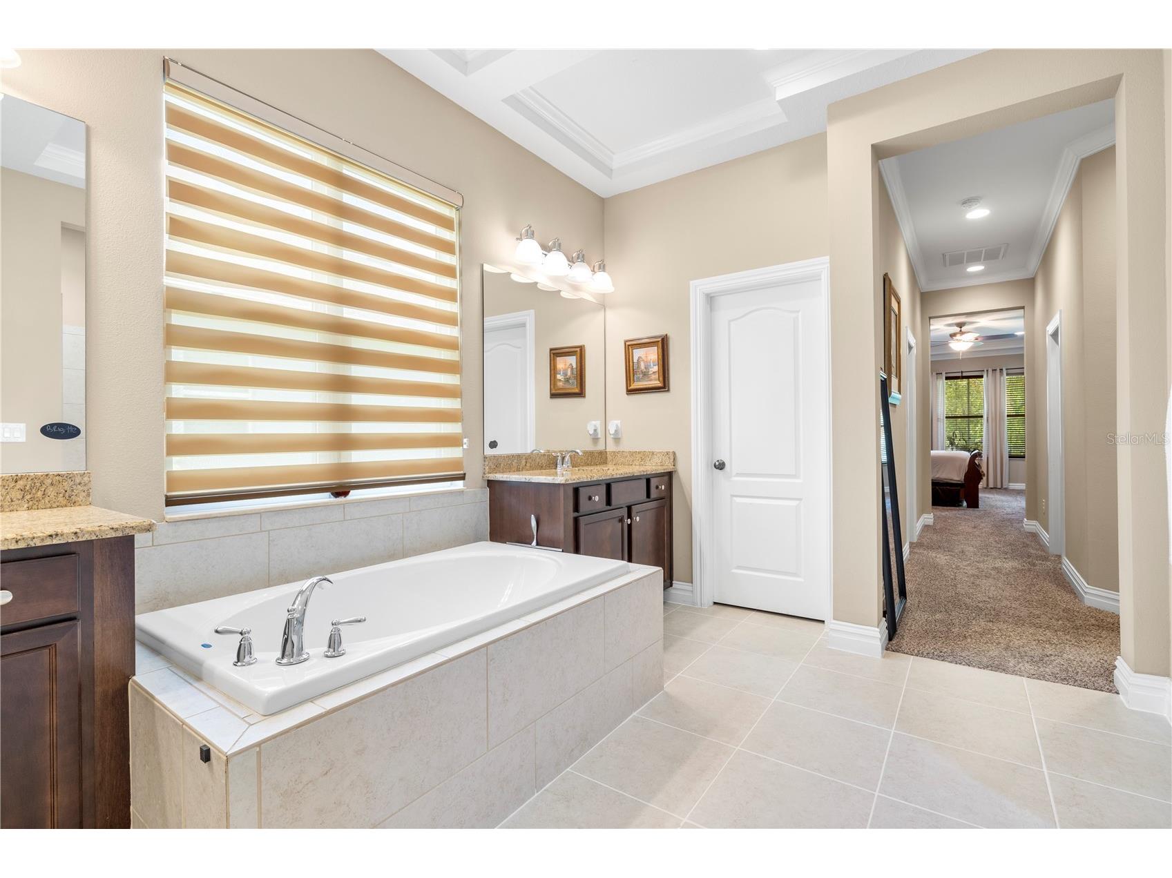 16726 Courtyard Loop Land O Lakes FL 34638 TB8503094 image43
