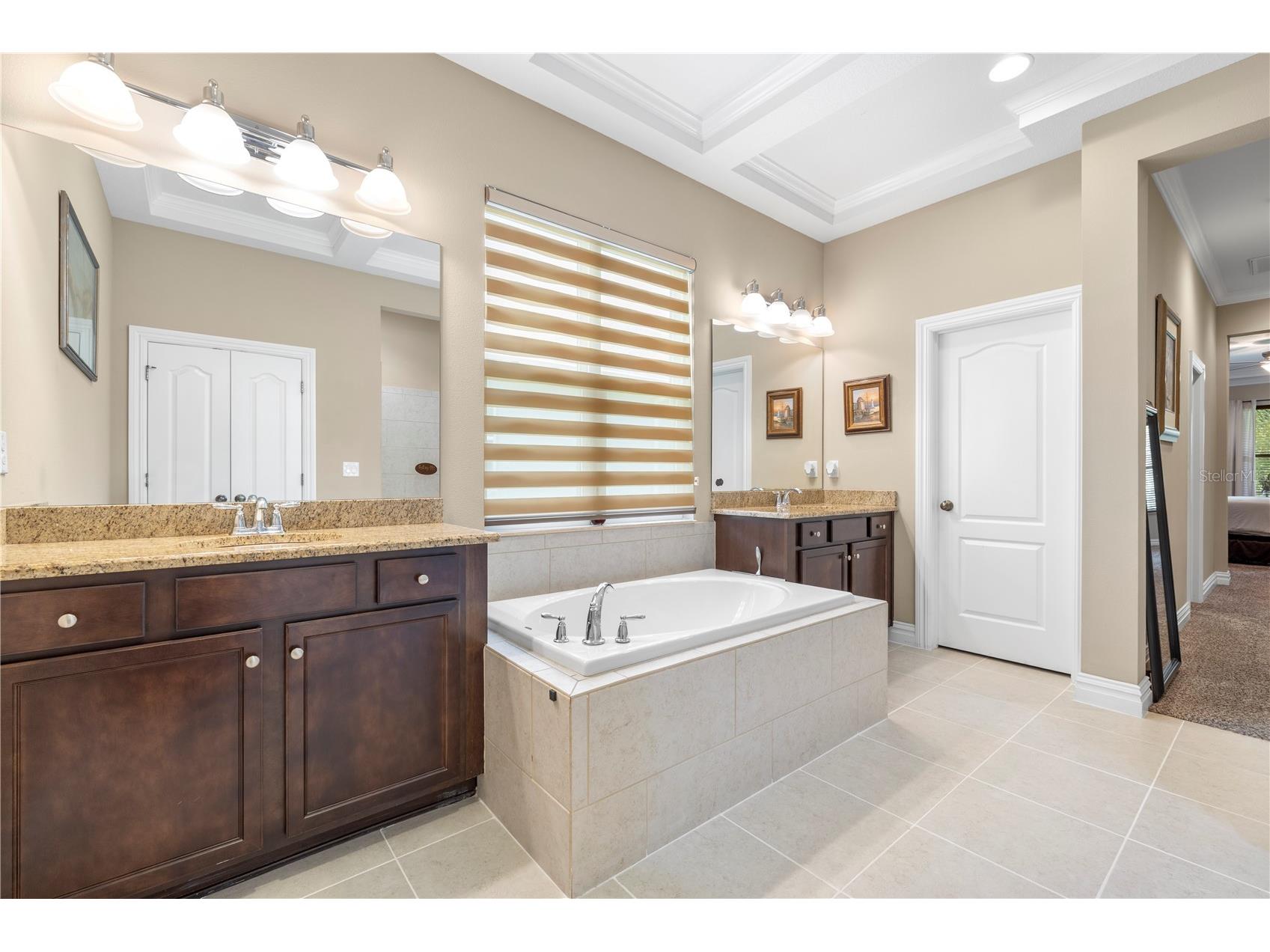 16726 Courtyard Loop Land O Lakes FL 34638 TB8503094 image44