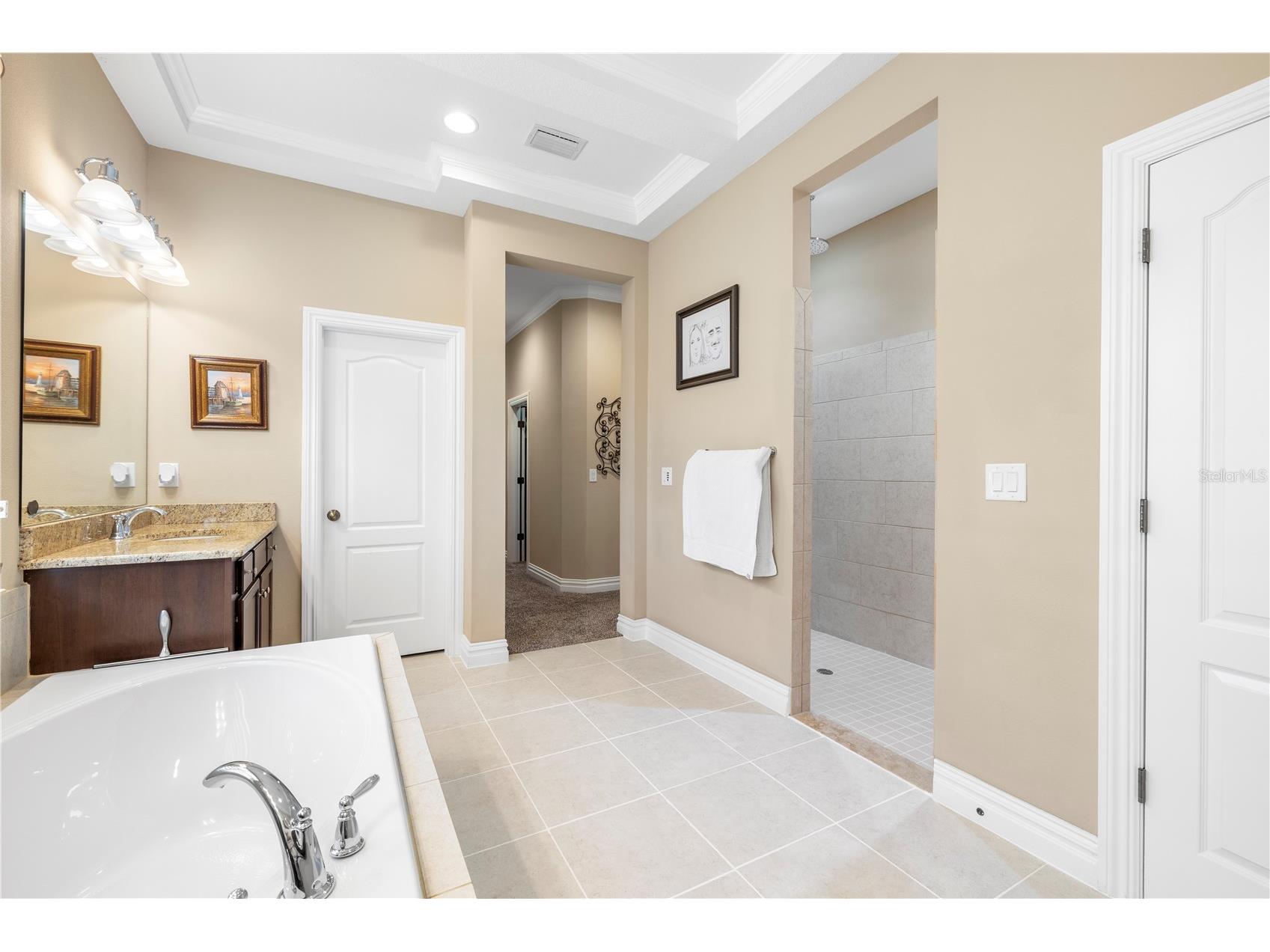 16726 Courtyard Loop Land O Lakes FL 34638 TB8503094 image45