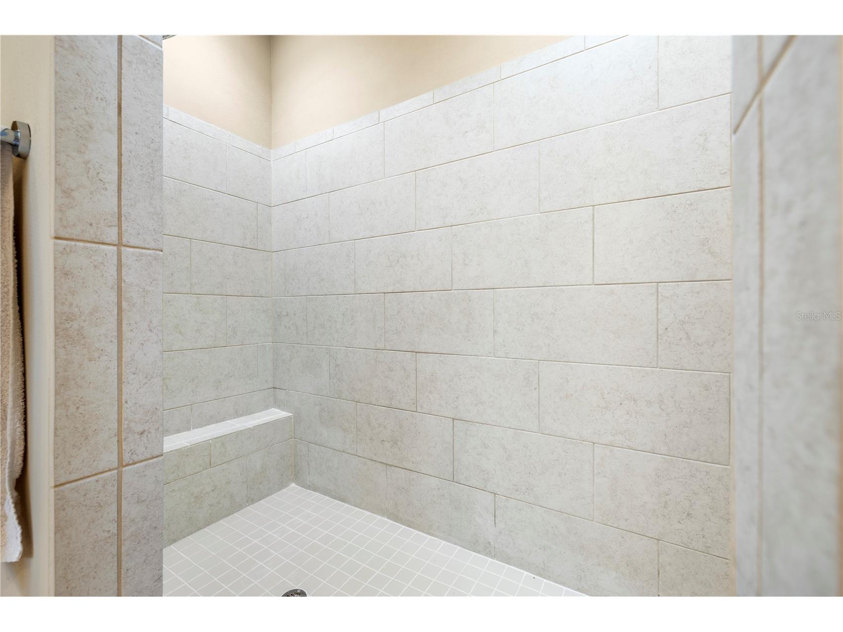 16726 Courtyard Loop Land O Lakes FL 34638 TB8503094 image47