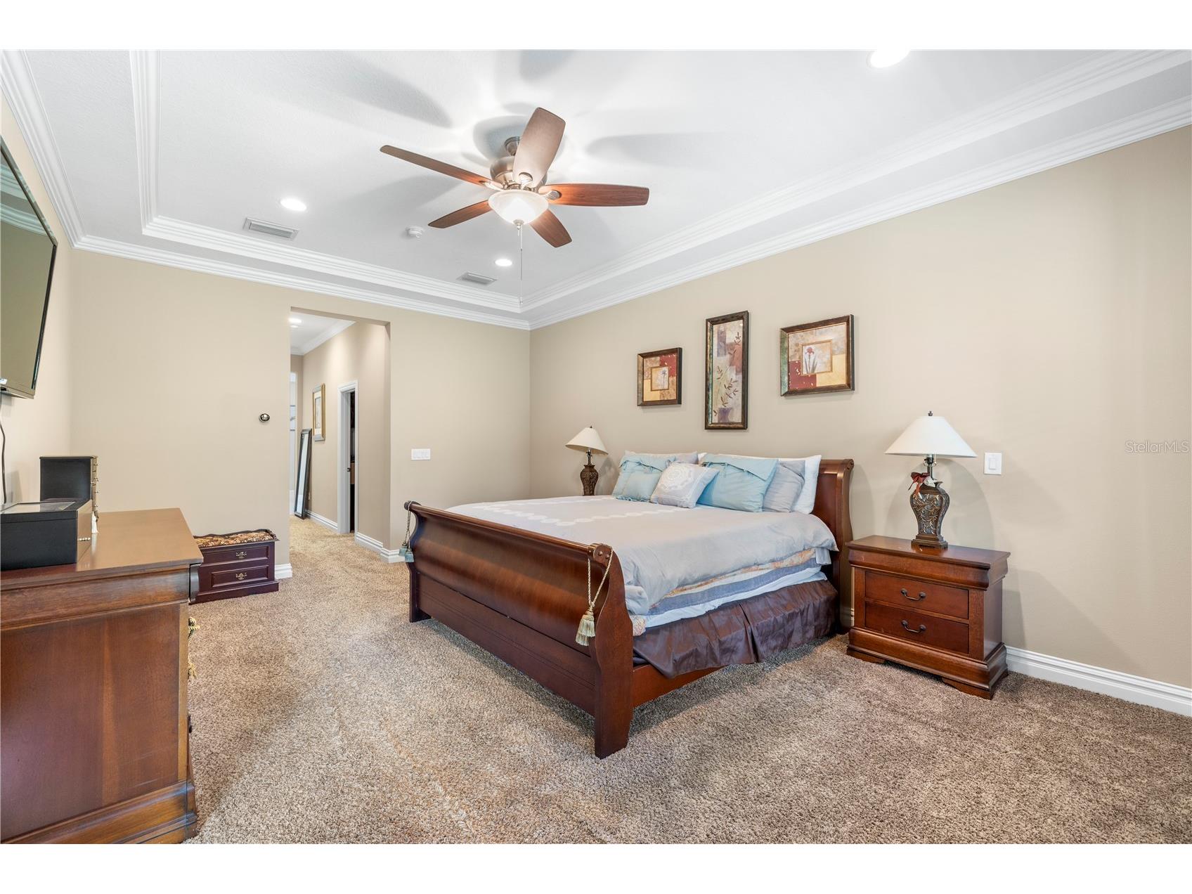 16726 Courtyard Loop Land O Lakes FL 34638 TB8503094 image51