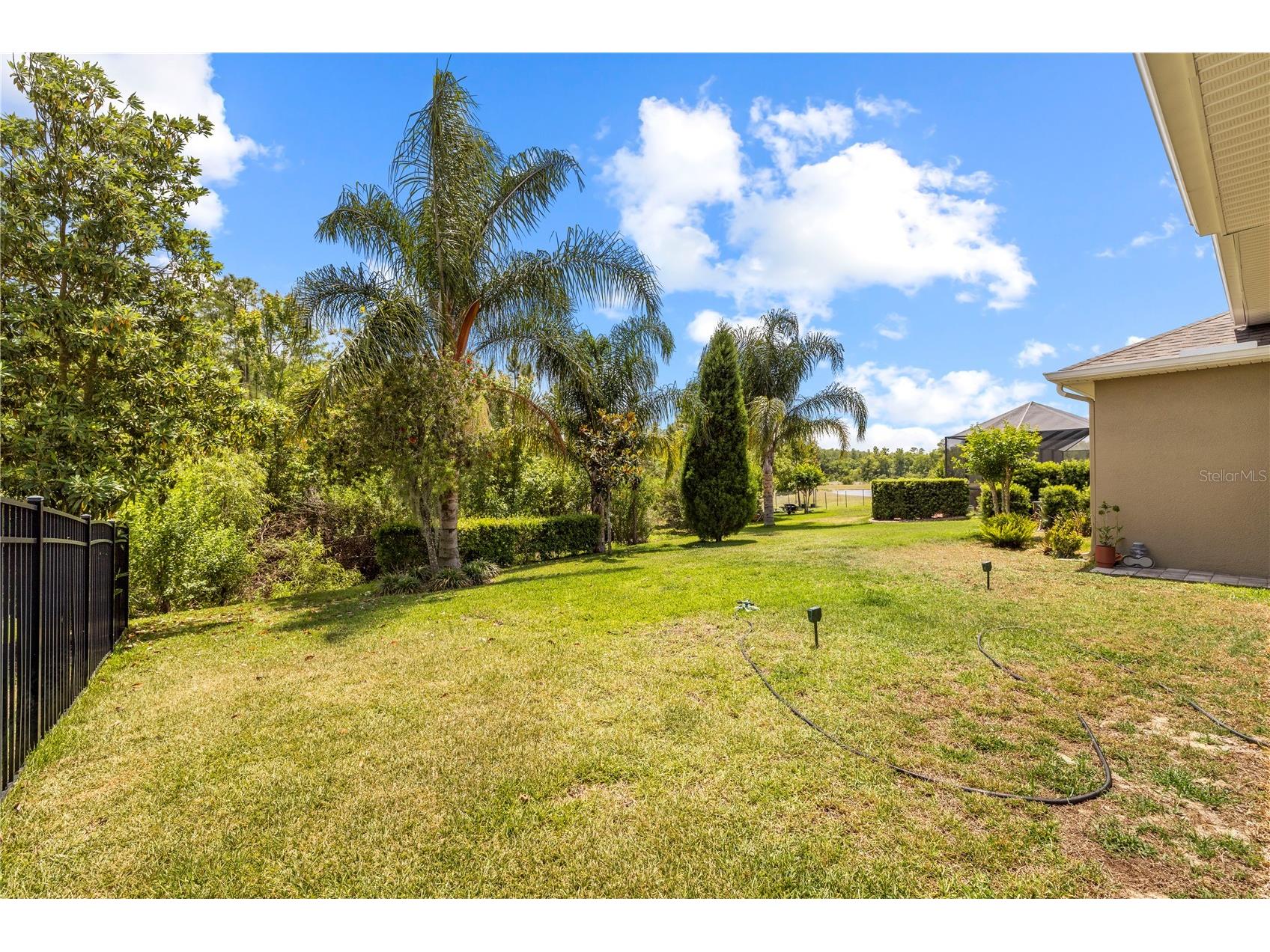 16726 Courtyard Loop Land O Lakes FL 34638 TB8503094 image63