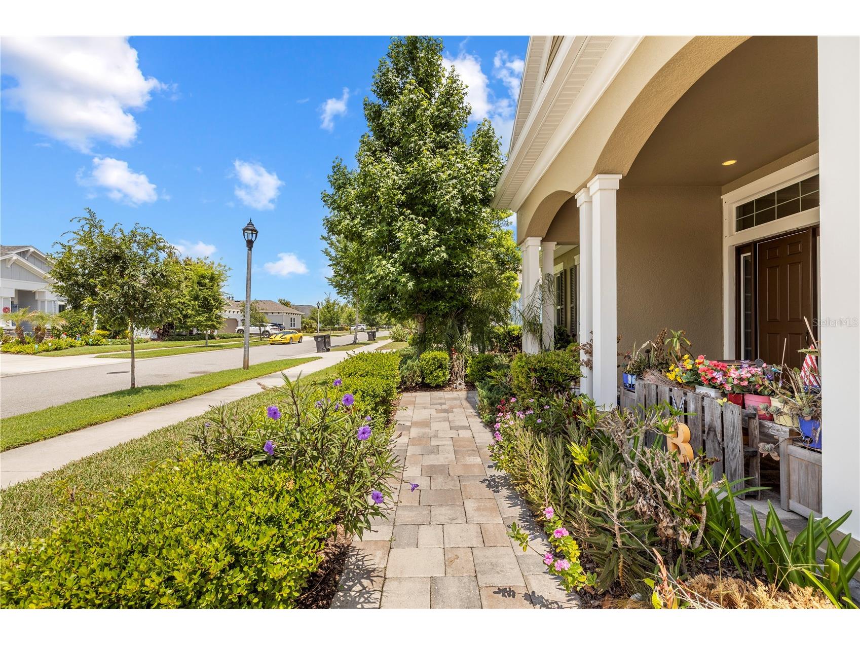 16726 Courtyard Loop Land O Lakes FL 34638 TB8503094 image67