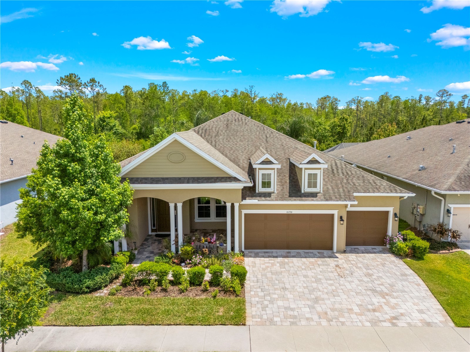16726 Courtyard Loop Land O Lakes FL 34638 TB8503094 image71