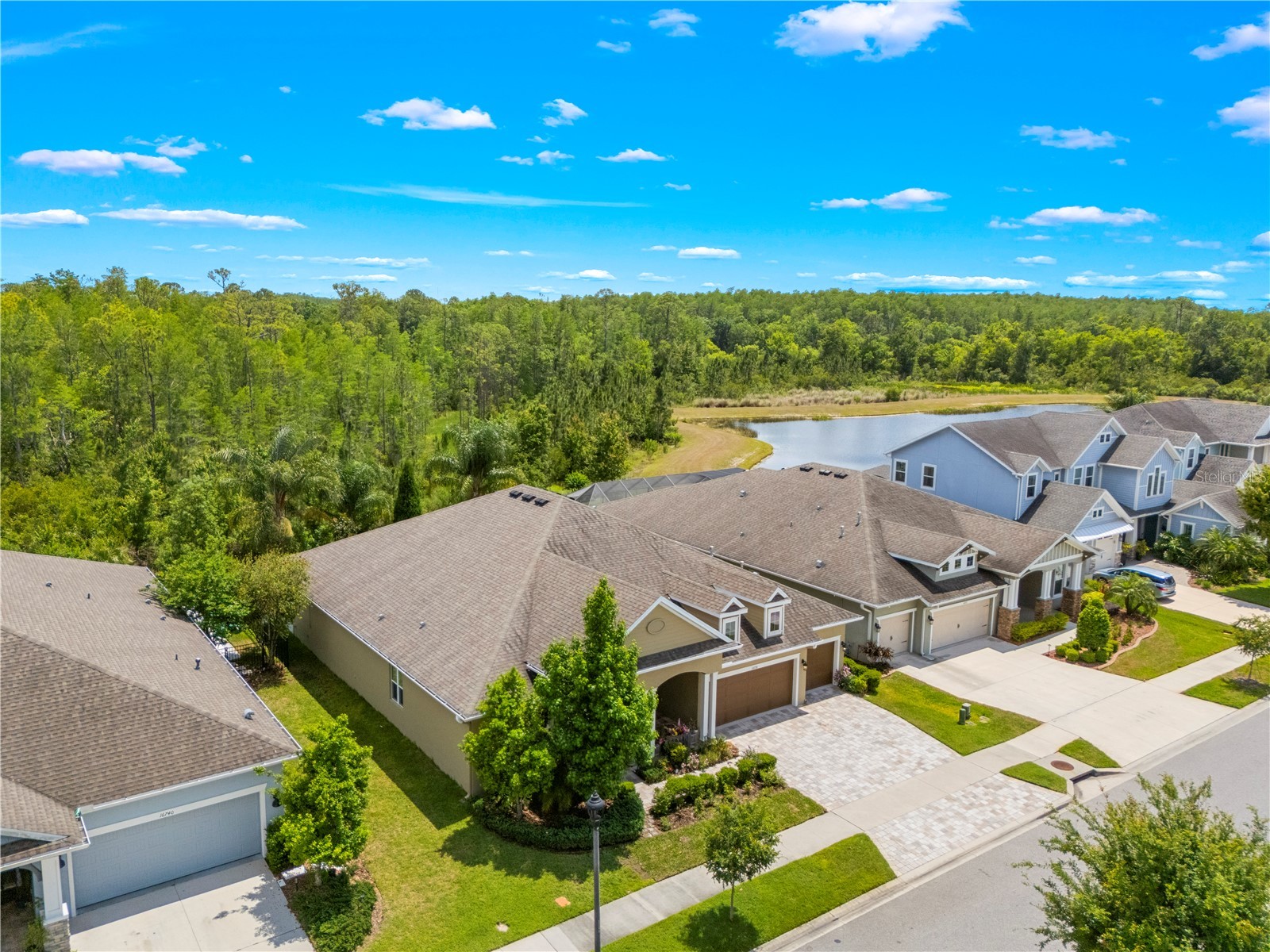 16726 Courtyard Loop Land O Lakes FL 34638 TB8503094 image73