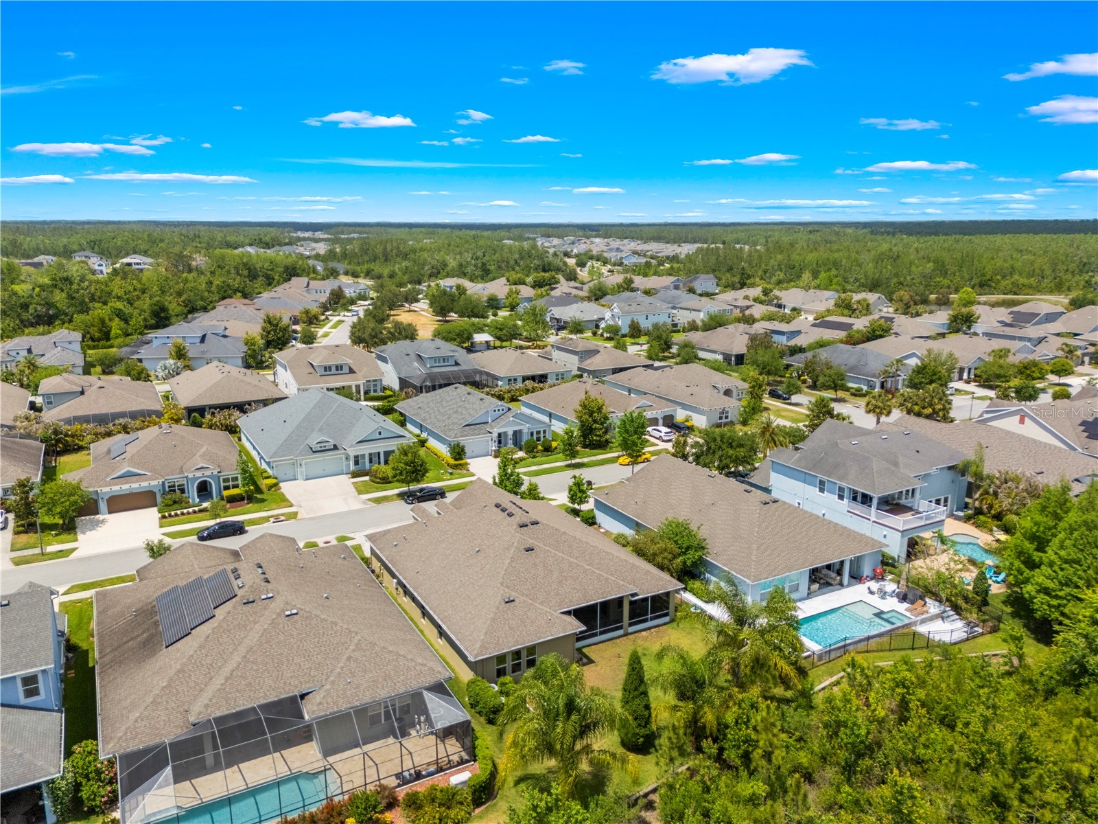 16726 Courtyard Loop Land O Lakes FL 34638 TB8503094 image79
