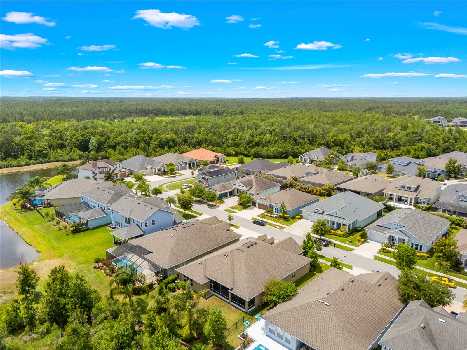 16726 Courtyard Loop Land O Lakes FL 34638 TB8503094 image80