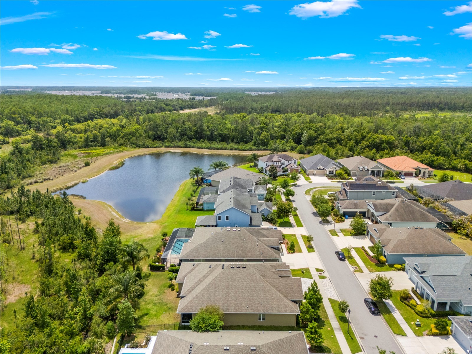 16726 Courtyard Loop Land O Lakes FL 34638 TB8503094 image81