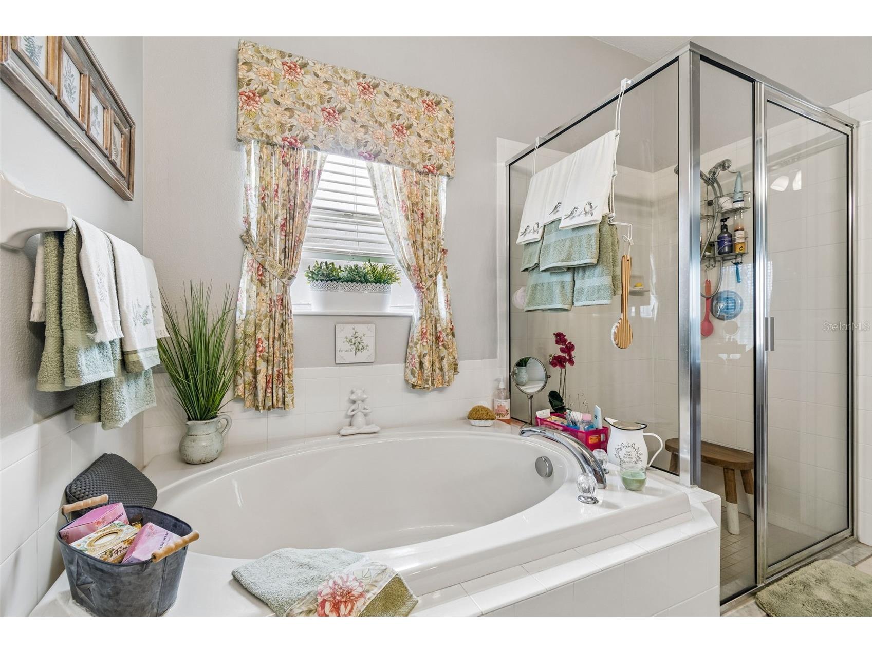 16727 Caracara Court Spring Hill FL 34610 TB8516696 image31