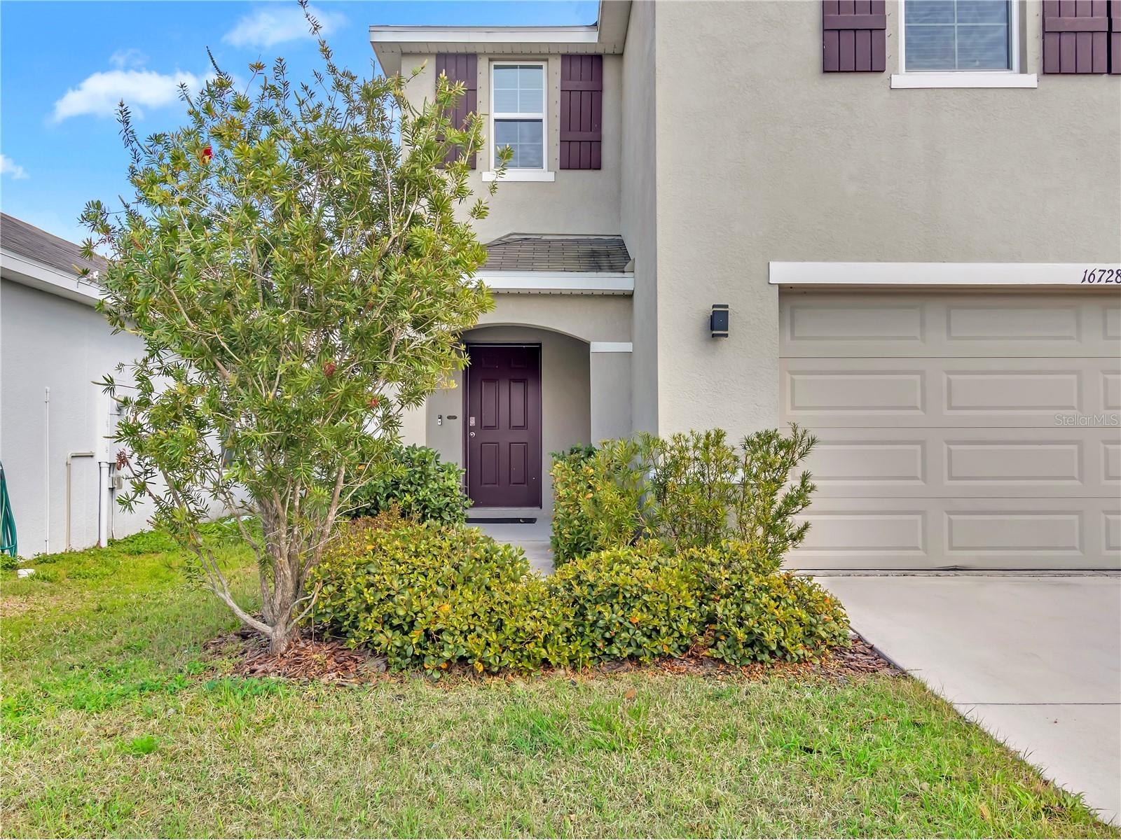 16728 Kingman Reef Street Wimauma FL 33598 TB8485466 image1