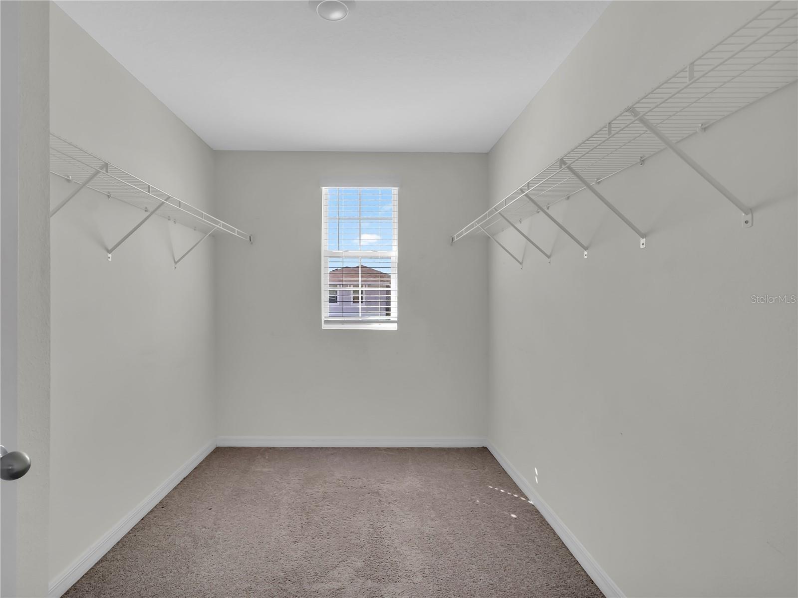 16728 Kingman Reef Street Wimauma FL 33598 TB8485466 image16