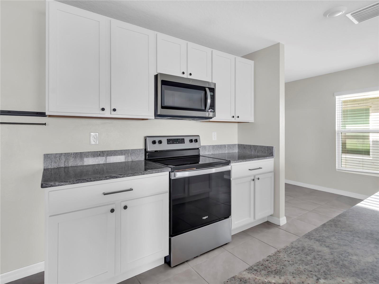 16728 Kingman Reef Street Wimauma FL 33598 TB8485466 image6