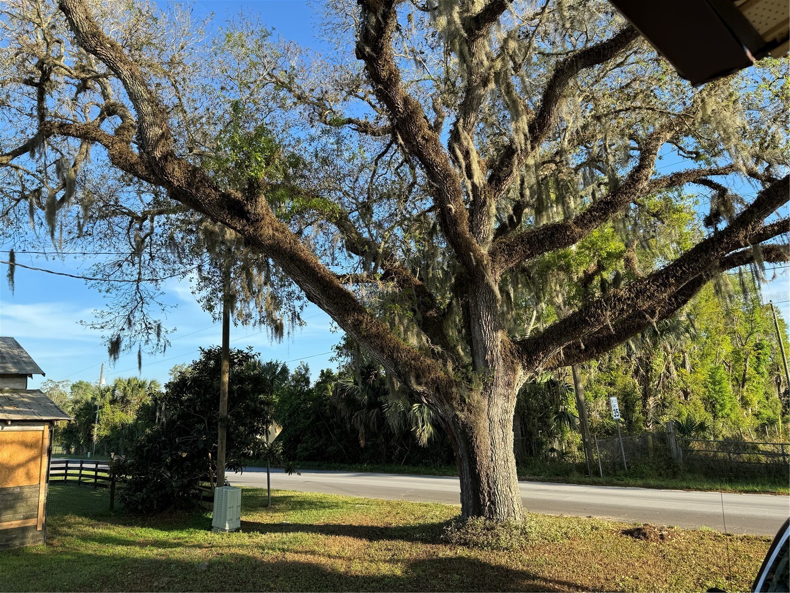 1673 Blackwelder Road De Leon Springs FL 32130 V4949055 image23