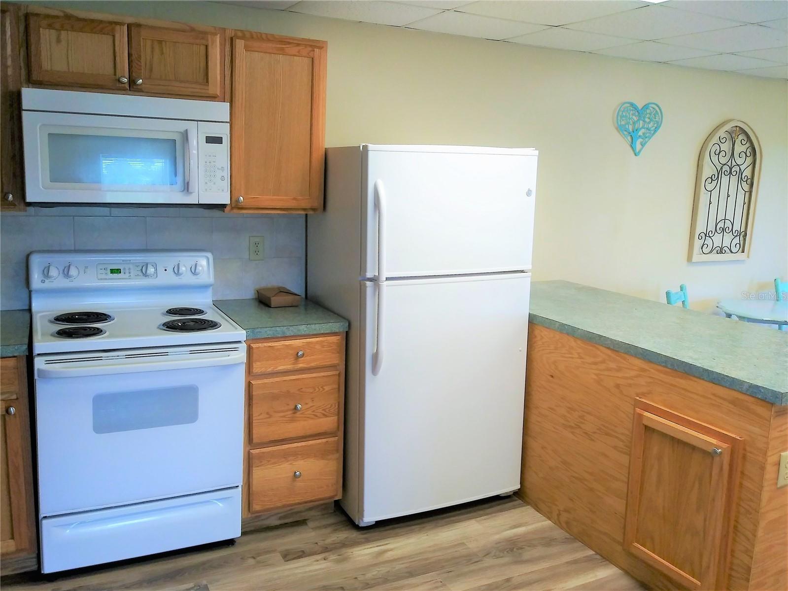 1673 Blackwelder Road De Leon Springs FL 32130 V4949055 image3