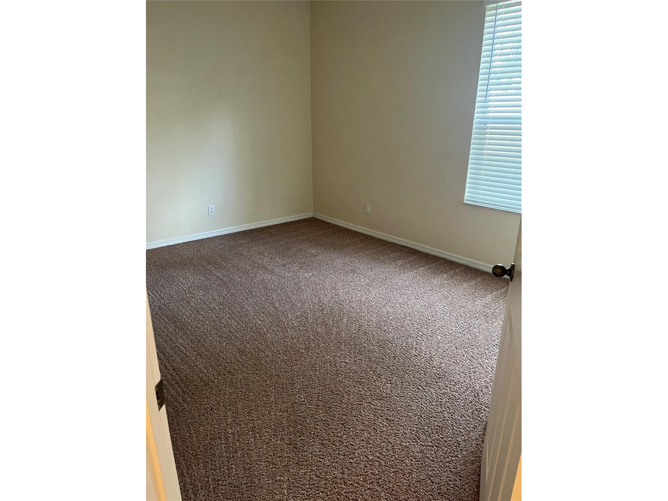 1673 Scrub Jay Road Apopka FL 32703 O6381449 image11