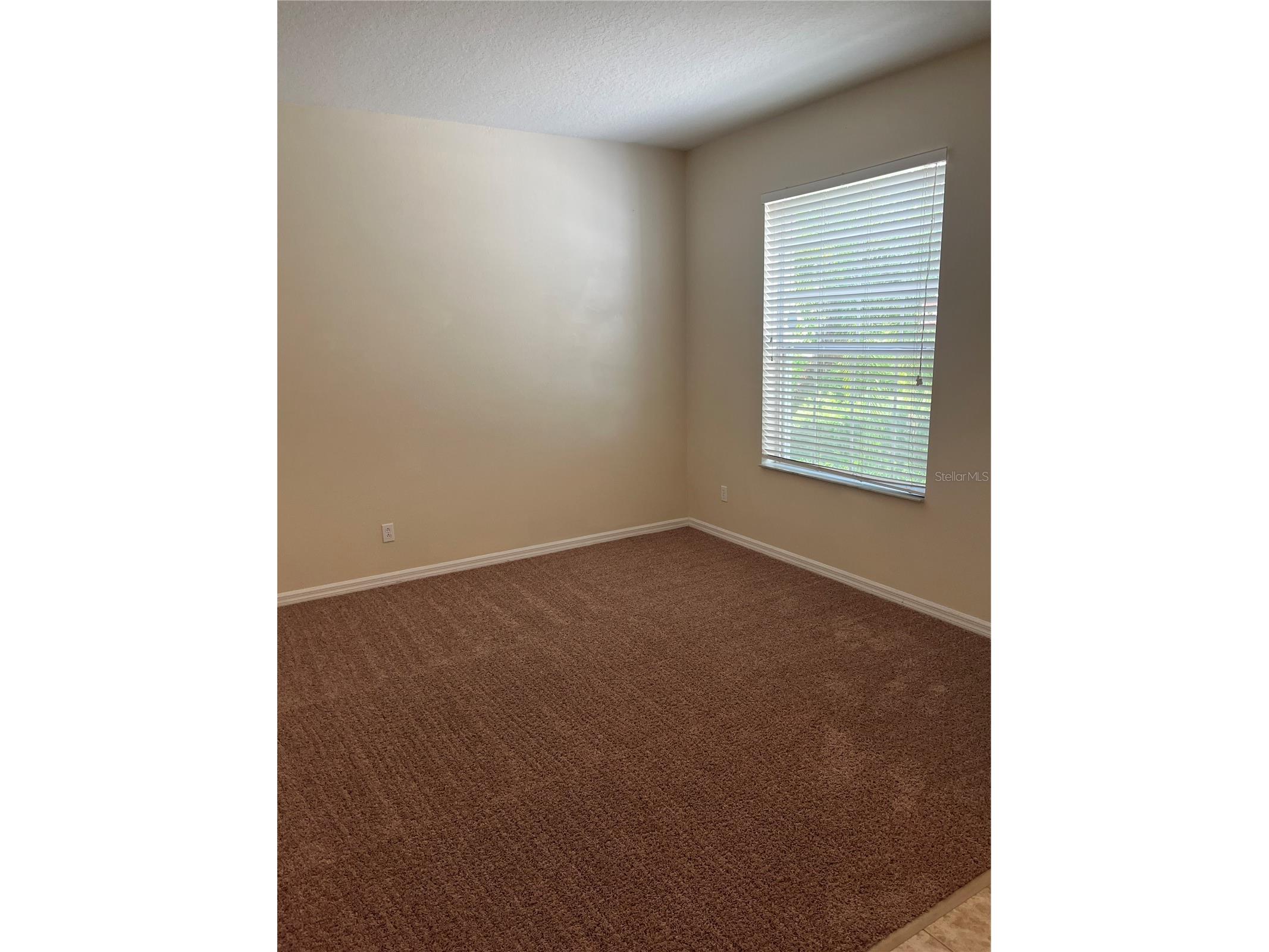 1673 Scrub Jay Road Apopka FL 32703 O6381449 image5