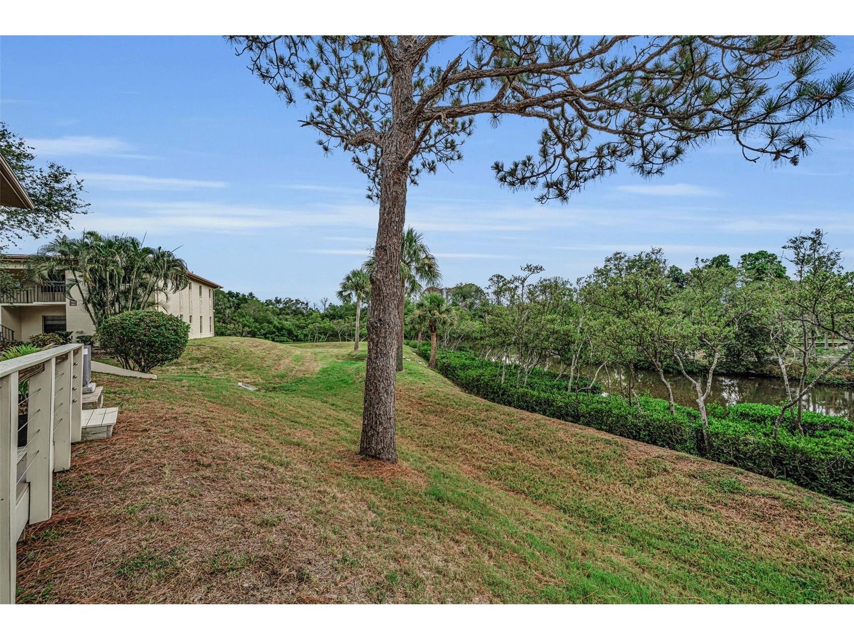 1673 Seascape Circle #102 Tarpon Springs FL 34689 TB8524546 image41