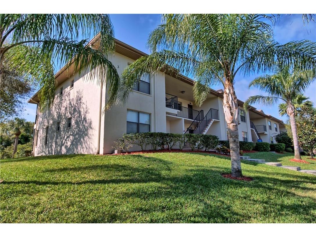 1673 Seascape Circle #102 Tarpon Springs FL 34689 TB8524546 image43