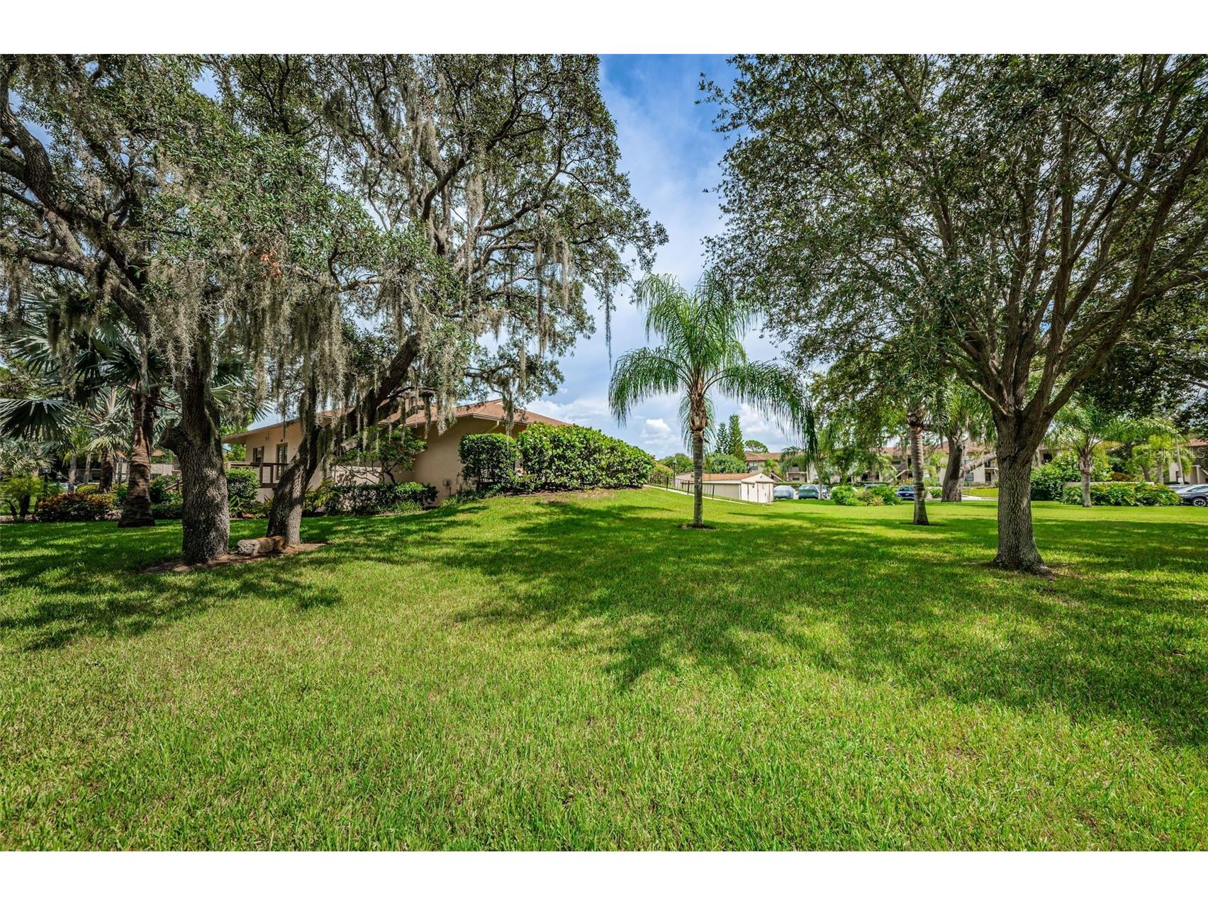 1673 Seascape Circle #102 Tarpon Springs FL 34689 TB8524546 image68