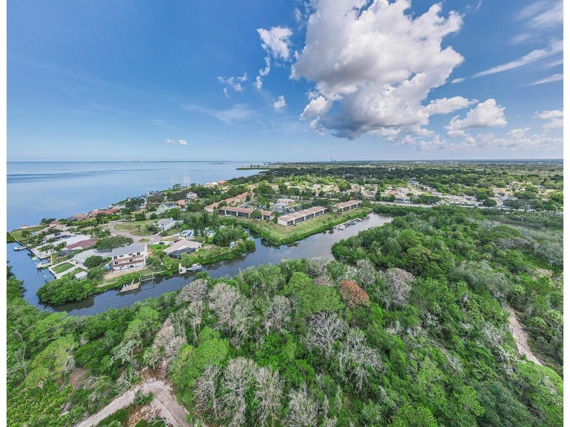1673 Seascape Circle #102 Tarpon Springs FL 34689 TB8524546 image69