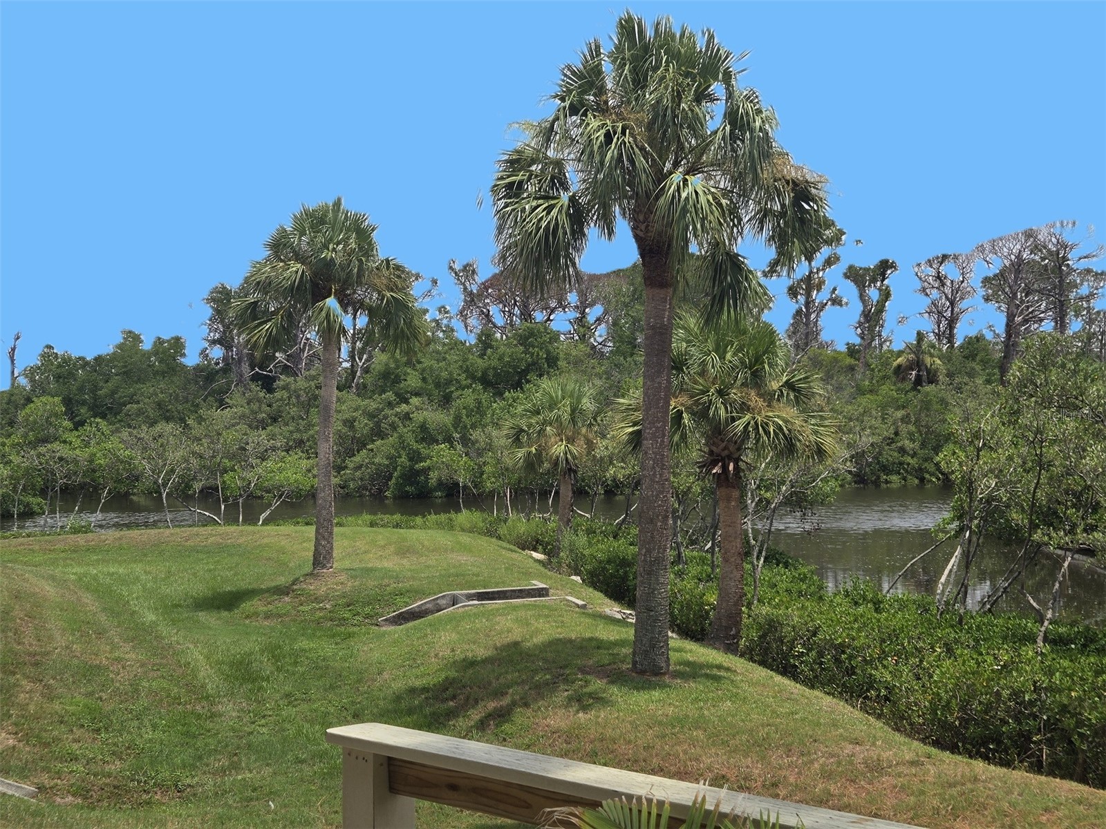 1673 Seascape Circle #102 Tarpon Springs FL 34689 TB8524546 image7