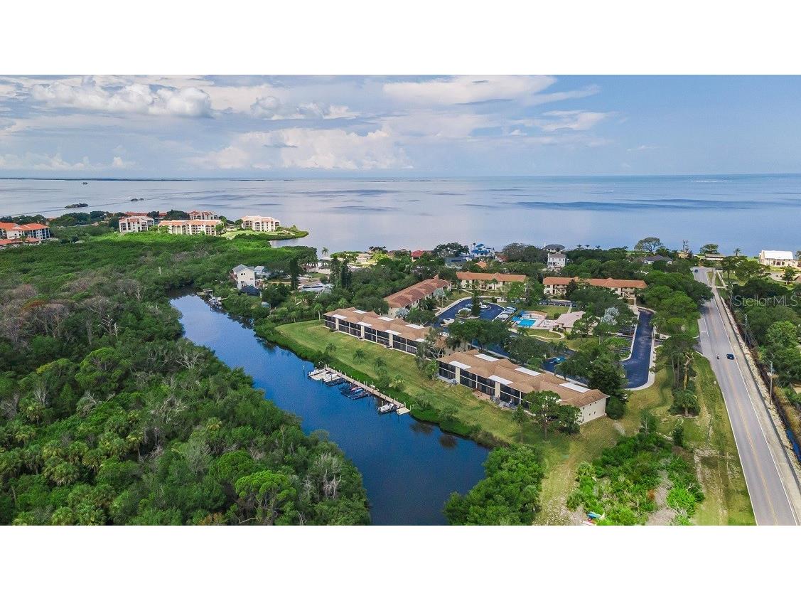 1673 Seascape Circle #102 Tarpon Springs FL 34689 TB8524546 image70