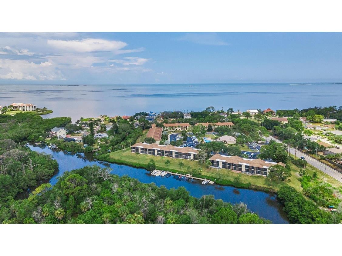 1673 Seascape Circle #102 Tarpon Springs FL 34689 TB8524546 image71
