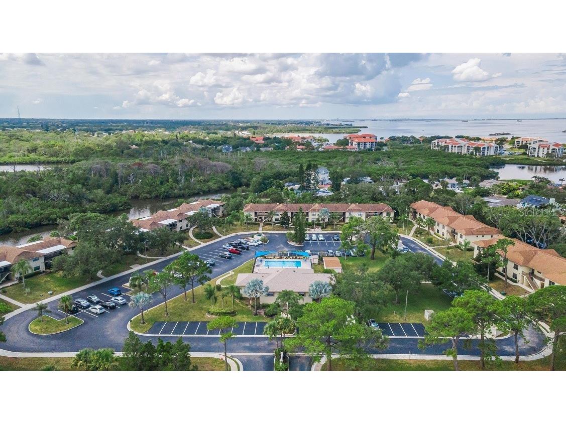 1673 Seascape Circle #102 Tarpon Springs FL 34689 TB8524546 image72