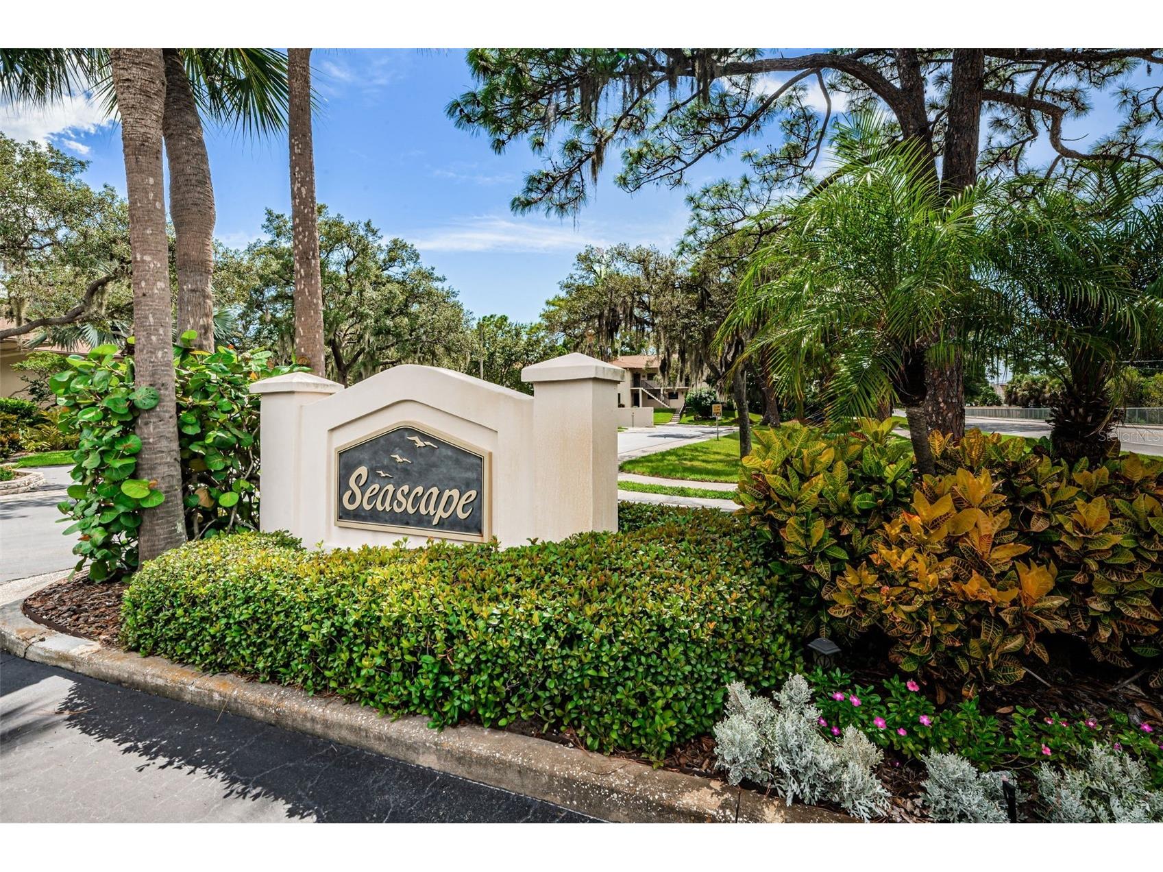 1673 Seascape Circle #102 Tarpon Springs FL 34689 TB8524546 image77