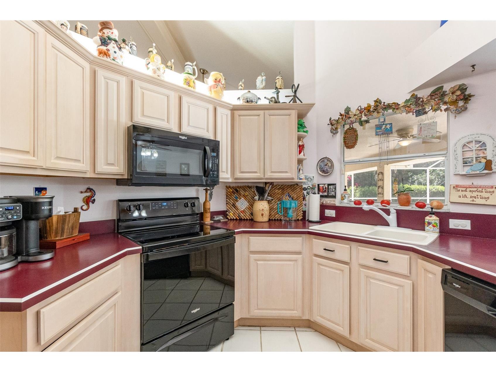 16730 Beauclaire Court Tavares FL 32778 G5110874 image11