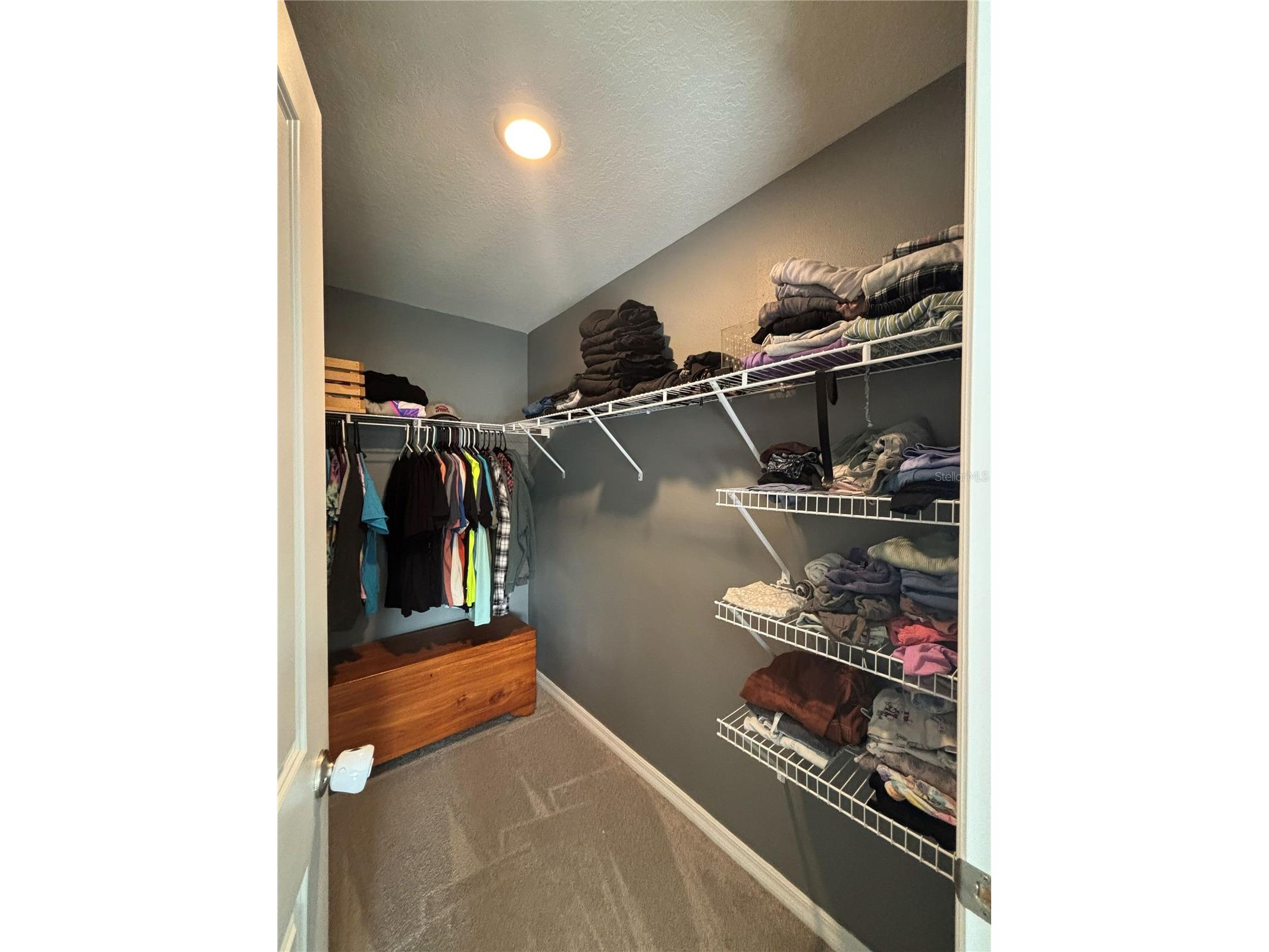 16731 Kingman Reef Street Wimauma FL 33598 A4692055 image13