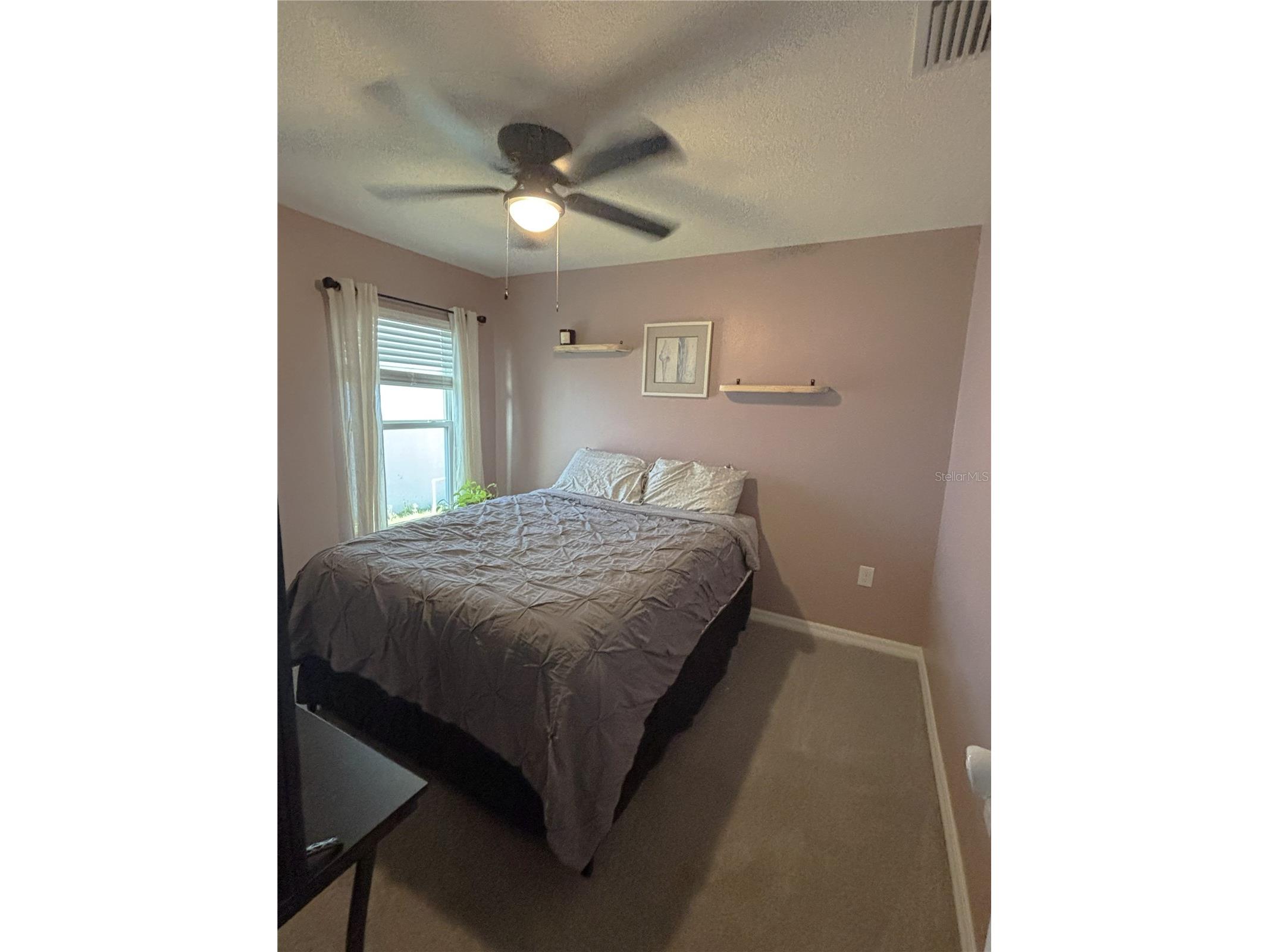 16731 Kingman Reef Street Wimauma FL 33598 A4692055 image14