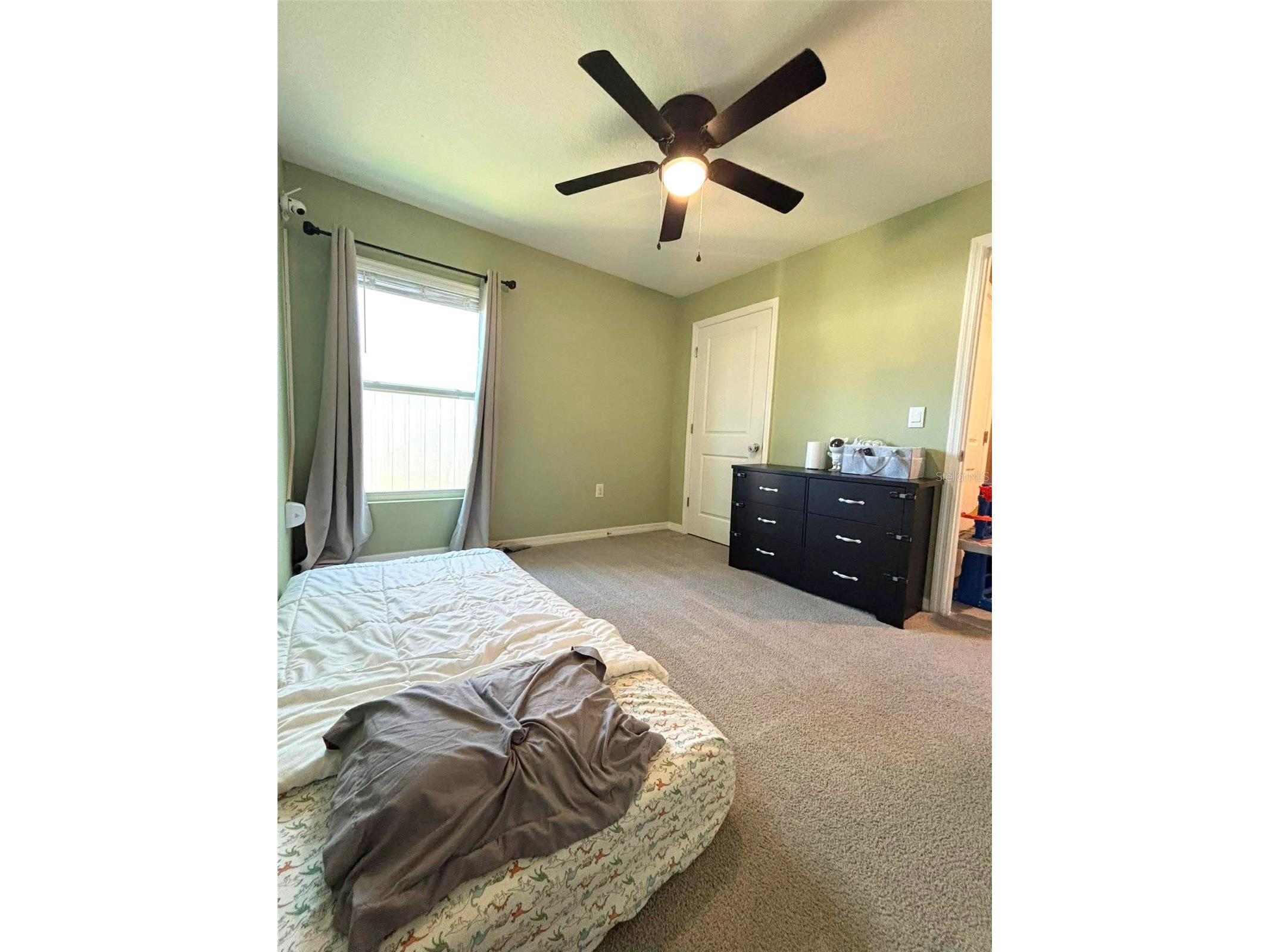 16731 Kingman Reef Street Wimauma FL 33598 A4692055 image16