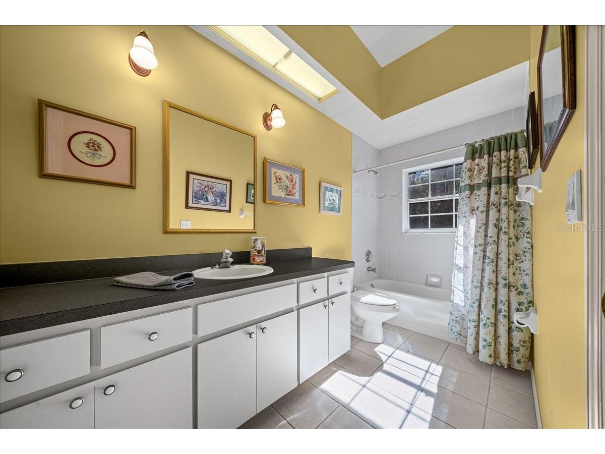 16731 SE 181st Terrace Weirsdale FL 32195 OM716842 image26