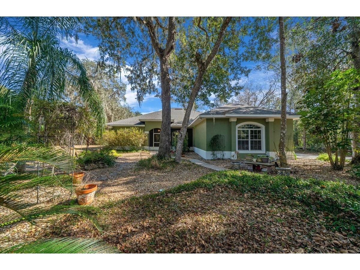 16731 SE 181st Terrace Weirsdale FL 32195 OM716842 image3
