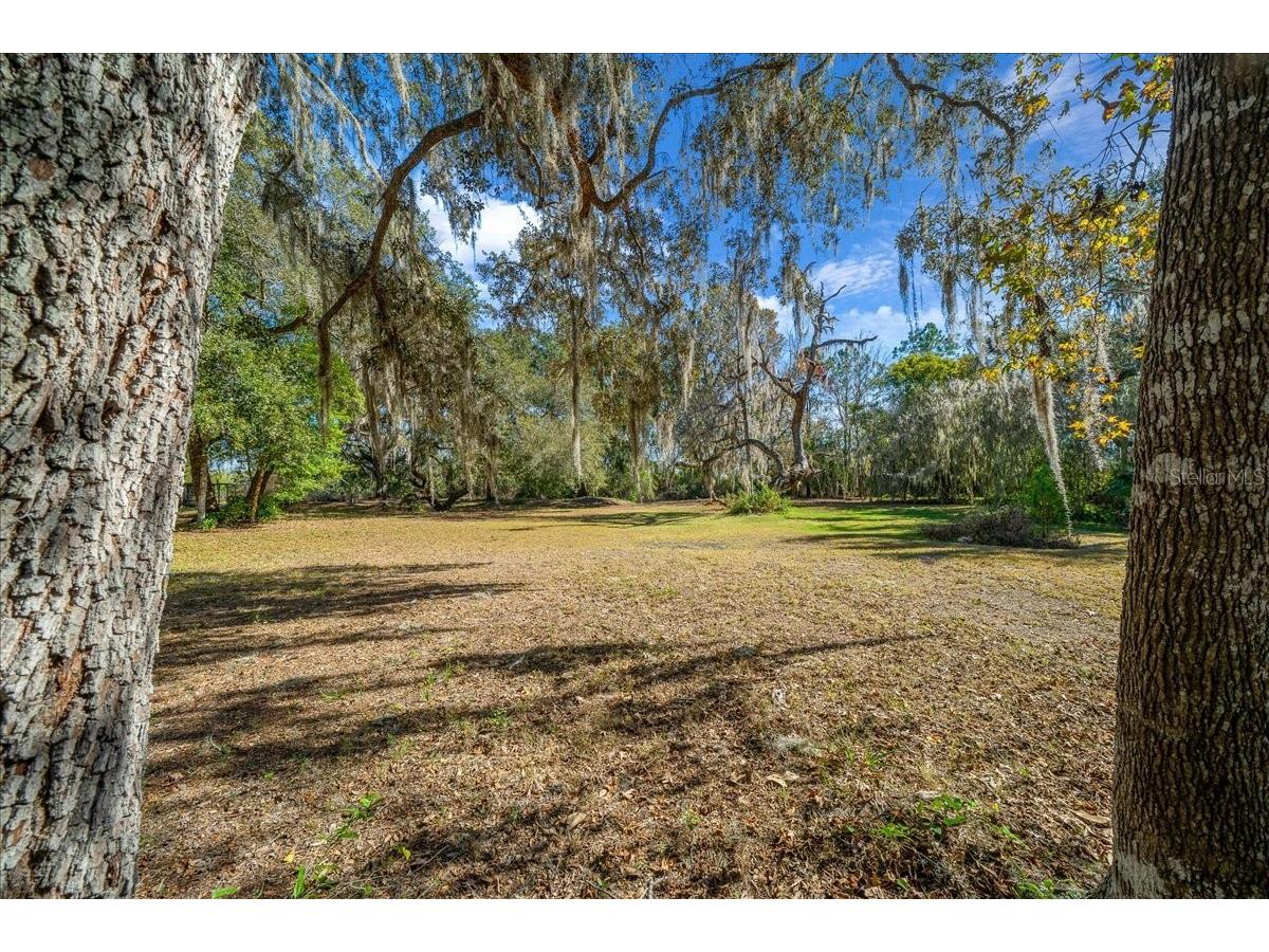 16731 SE 181st Terrace Weirsdale FL 32195 OM716842 image38