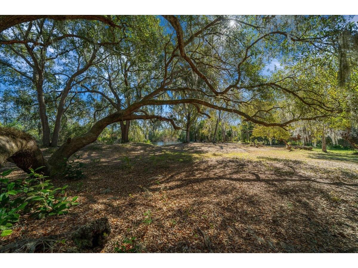 16731 SE 181st Terrace Weirsdale FL 32195 OM716842 image39