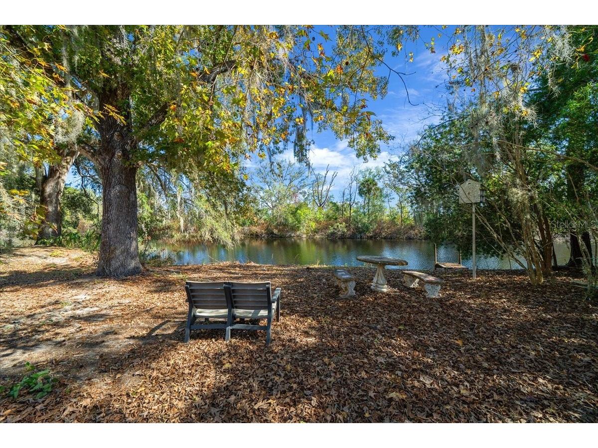 16731 SE 181st Terrace Weirsdale FL 32195 OM716842 image40