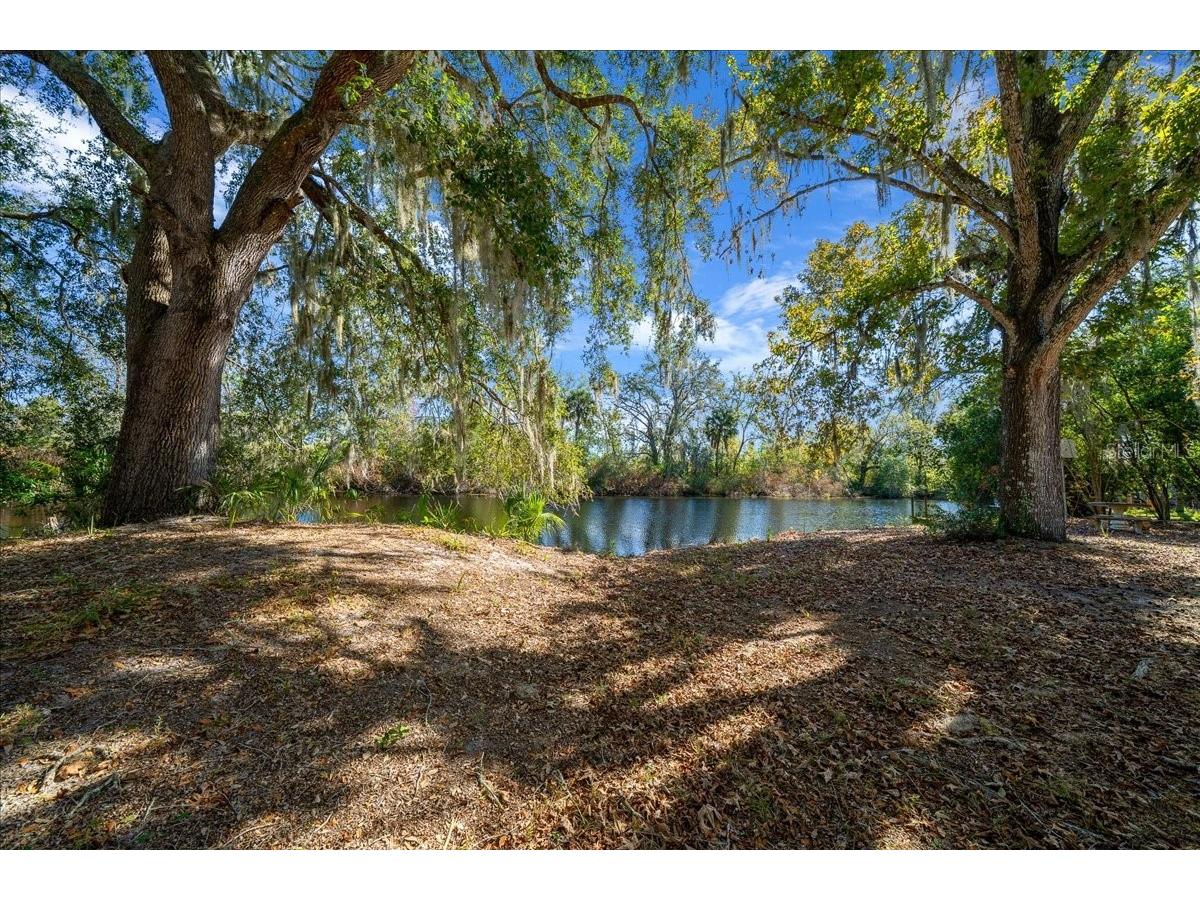 16731 SE 181st Terrace Weirsdale FL 32195 OM716842 image41